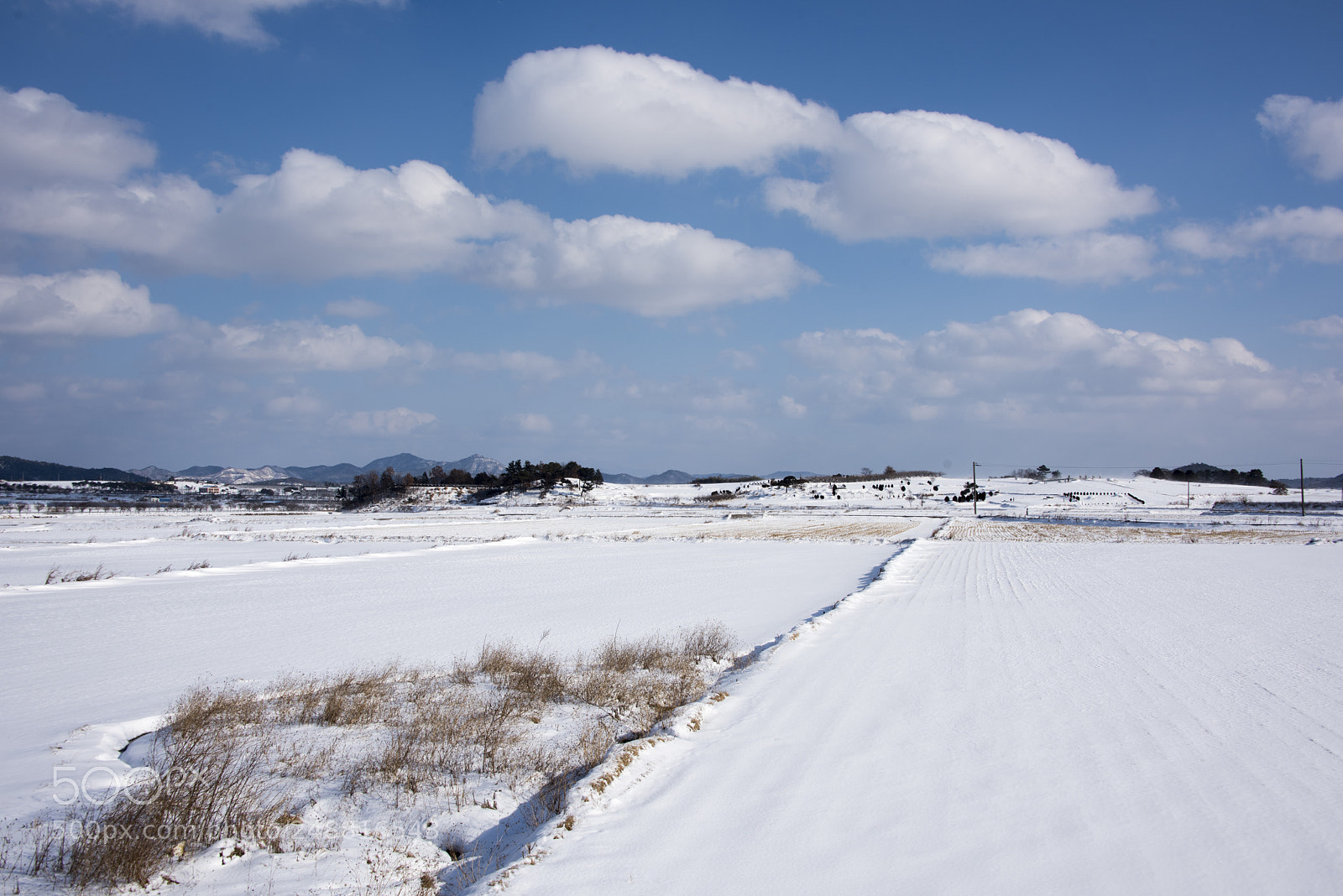 Nikon D810 sample photo. Winter photography
