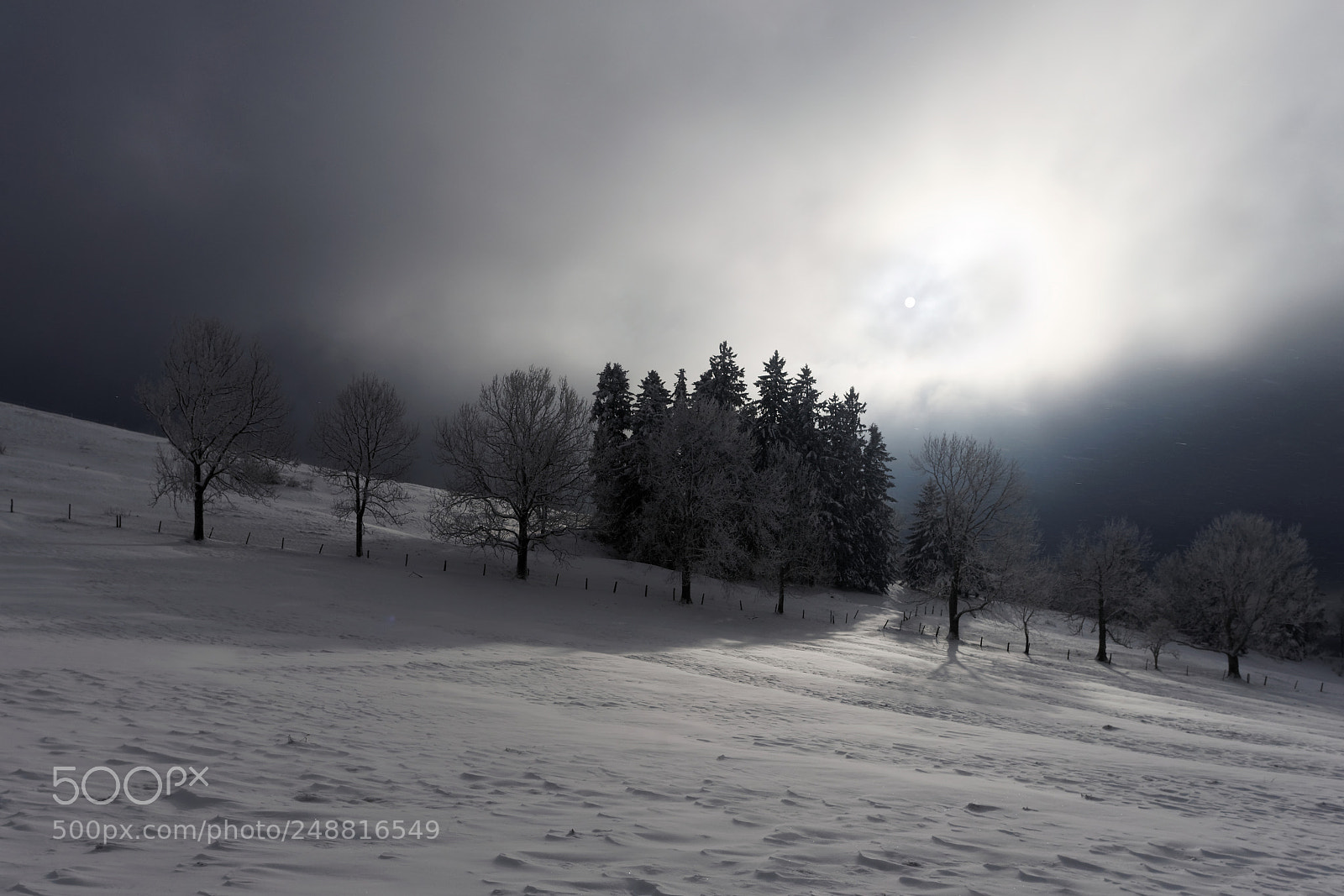 Sony a7 sample photo. Winterlight photography