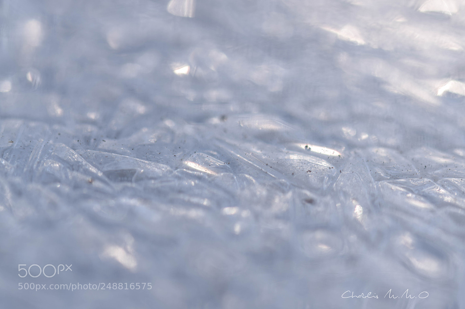 Nikon D3300 sample photo. 03-0427.jpg photography