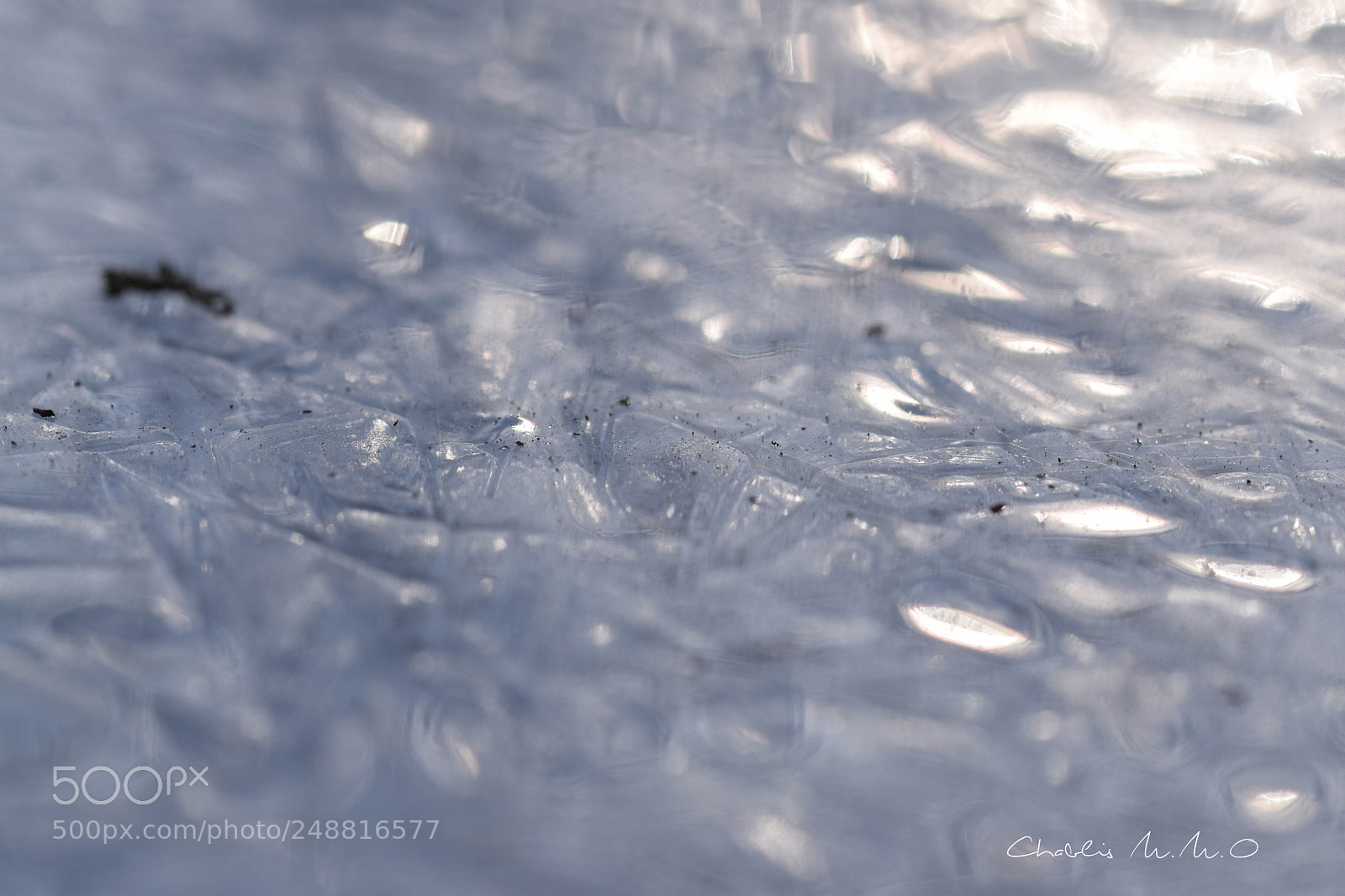 Nikon D3300 sample photo. 03-0431.jpg photography