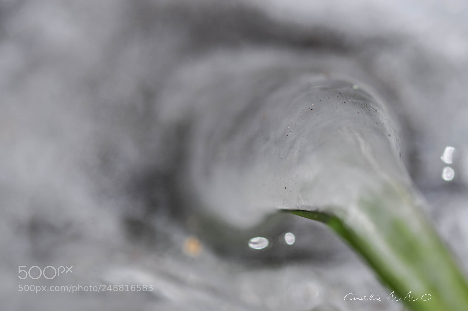 Nikon D3300 sample photo. 03-0450.jpg photography