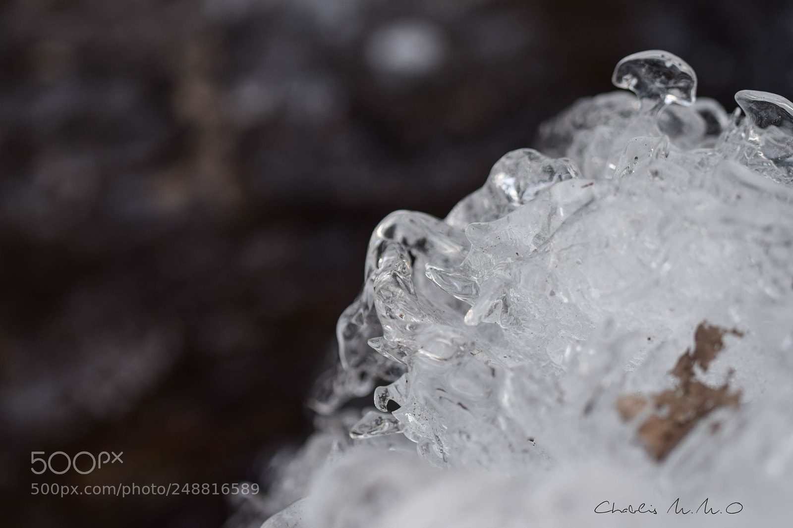 Nikon D3300 sample photo. 03-0469.jpg photography