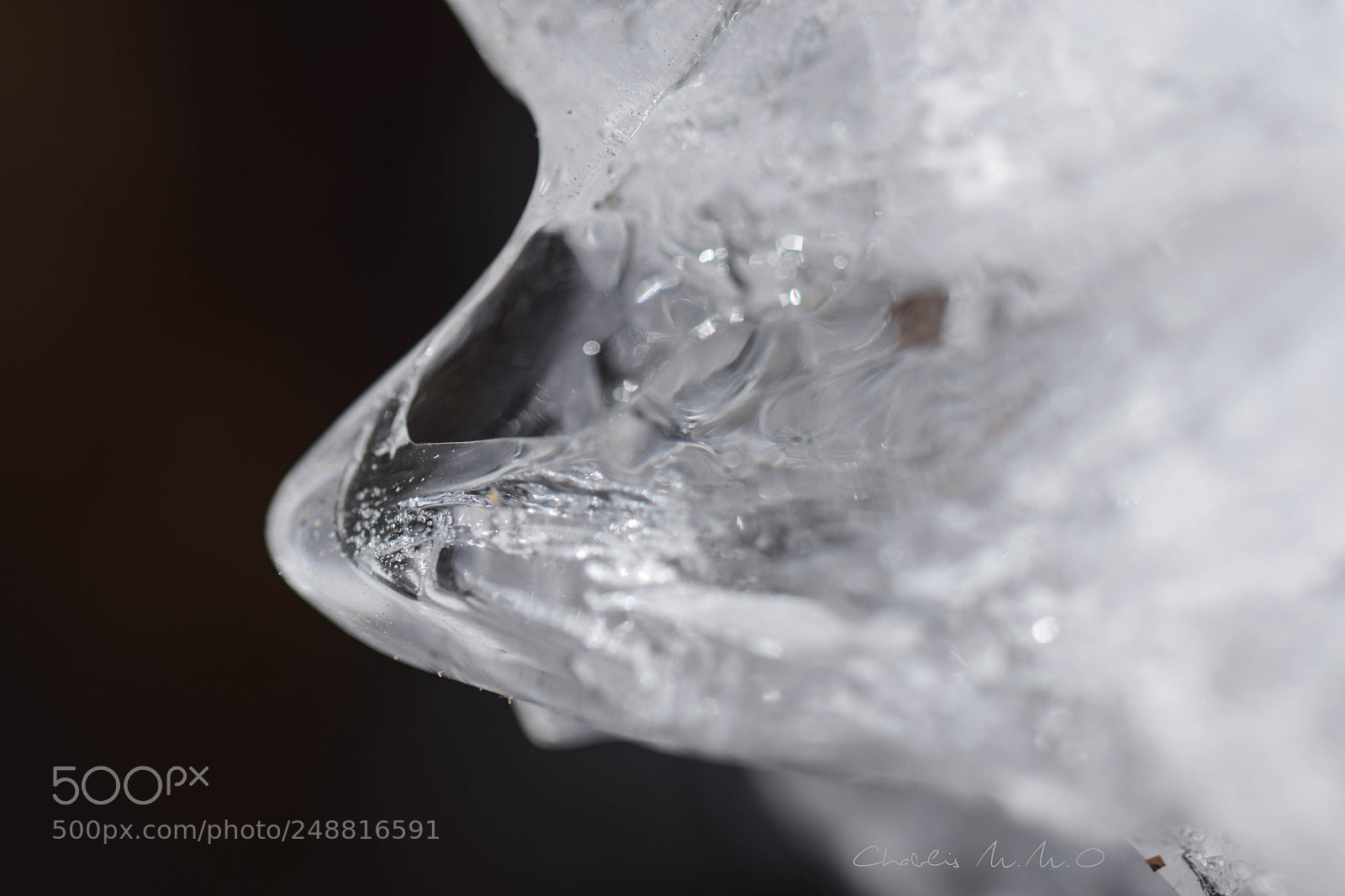 Nikon D3300 sample photo. 03-0509.jpg photography