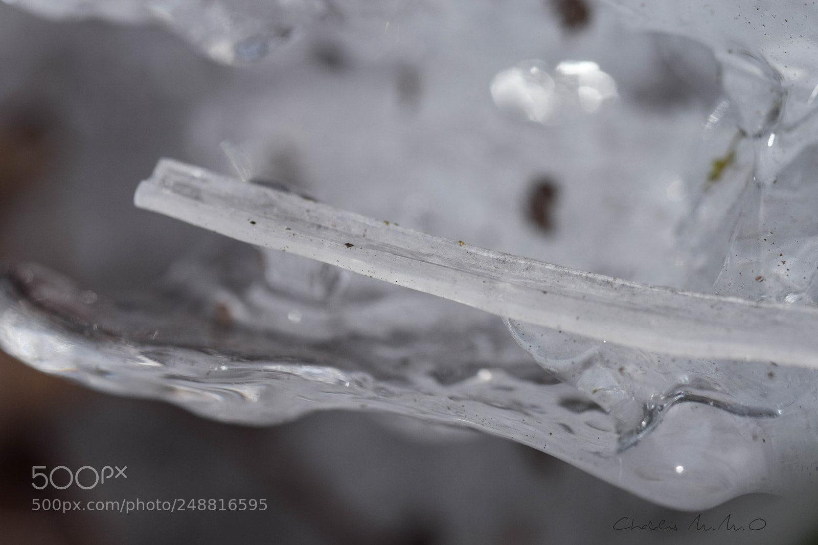 Nikon D3300 sample photo. 03-0472.jpg photography