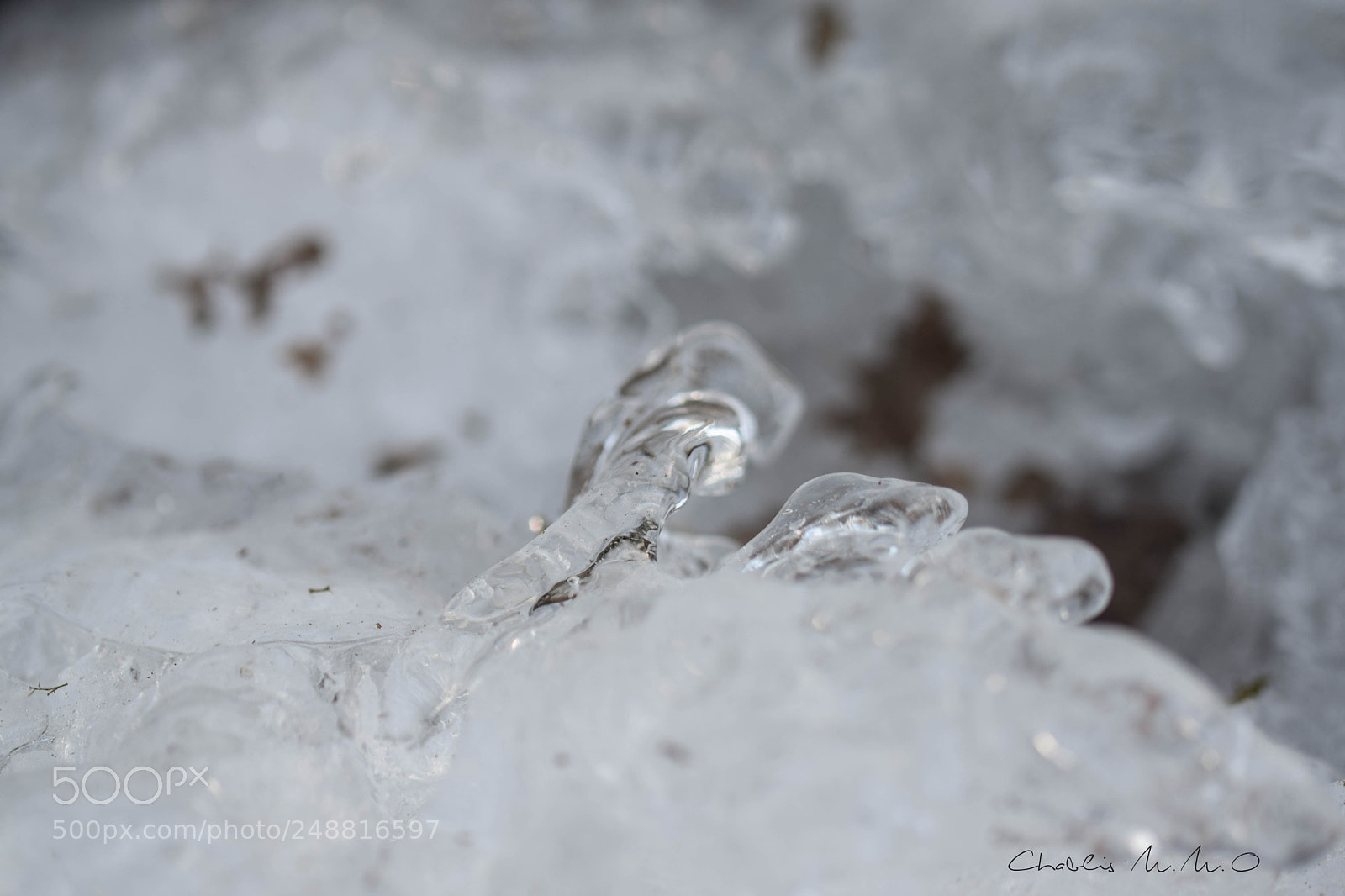Nikon D3300 sample photo. 03-0467.jpg photography