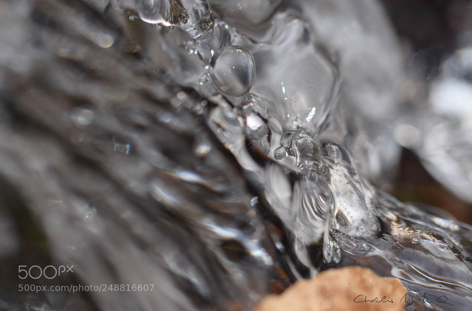 Nikon D3300 sample photo. 03-0542.jpg photography