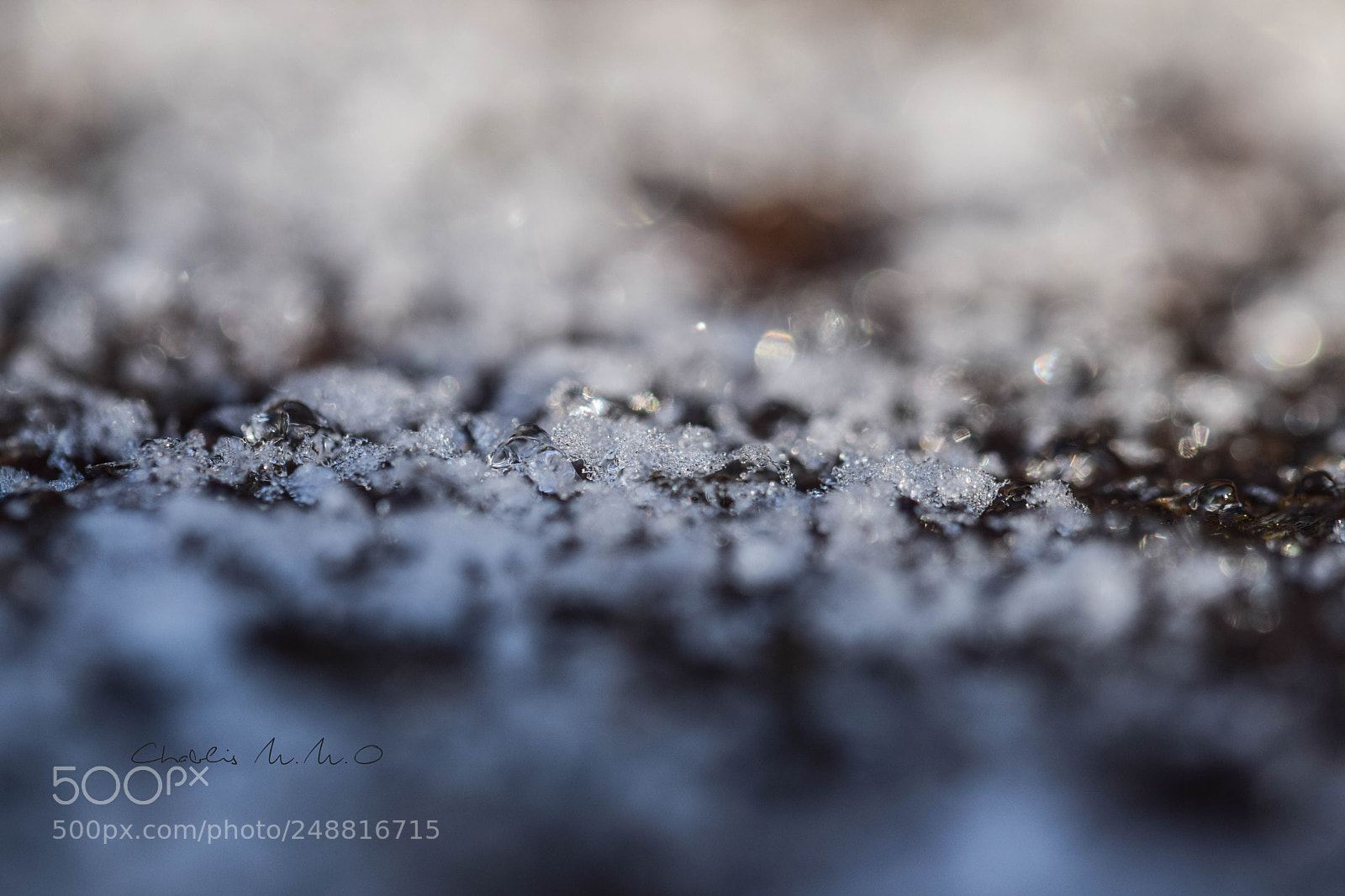 Nikon D3300 sample photo. 03-0427.jpg photography