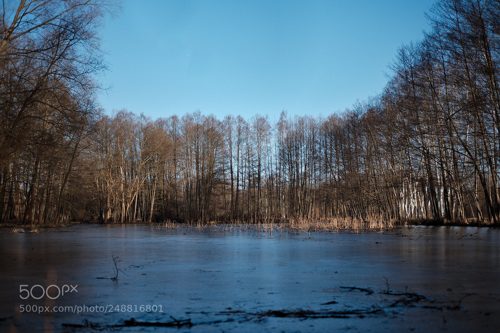 Fujifilm X-T10 sample photo. Frozen smal lake photography