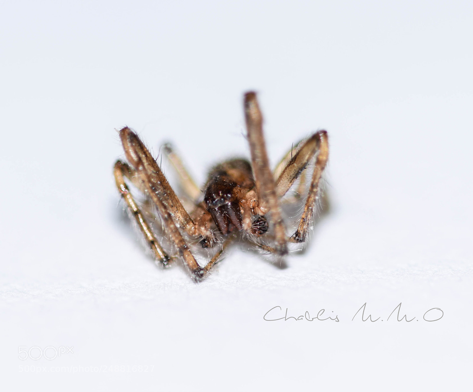 Nikon D3300 sample photo. 03-0215.jpg photography