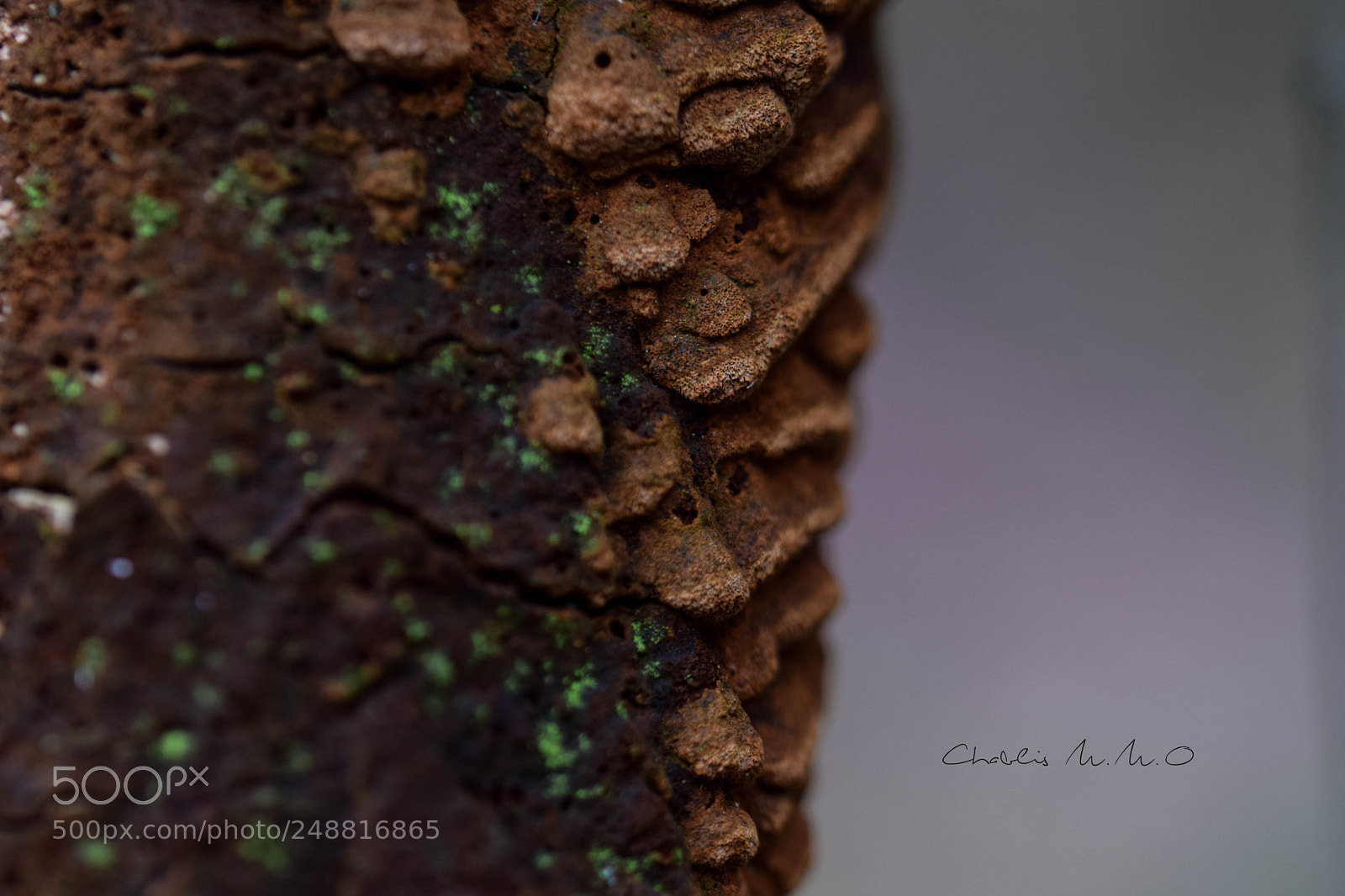 Nikon D3300 sample photo. 03-0362.jpg photography