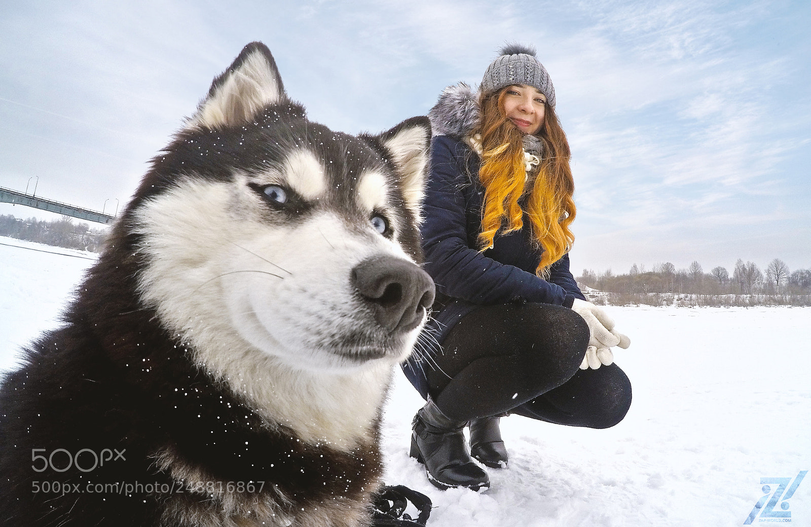 GoPro HERO4 Silver sample photo. Husky photography