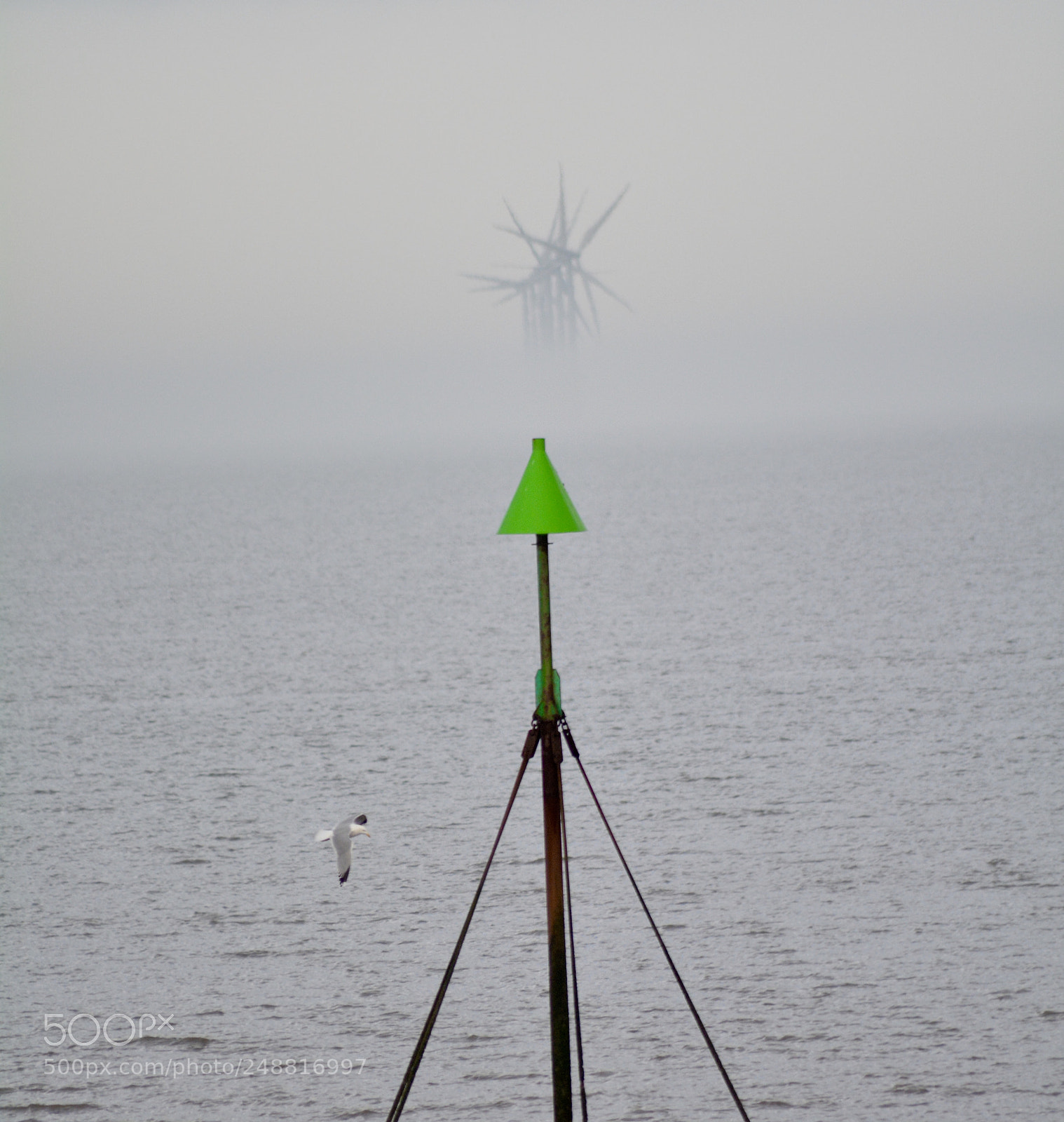 Nikon D5200 sample photo. Through the mist photography
