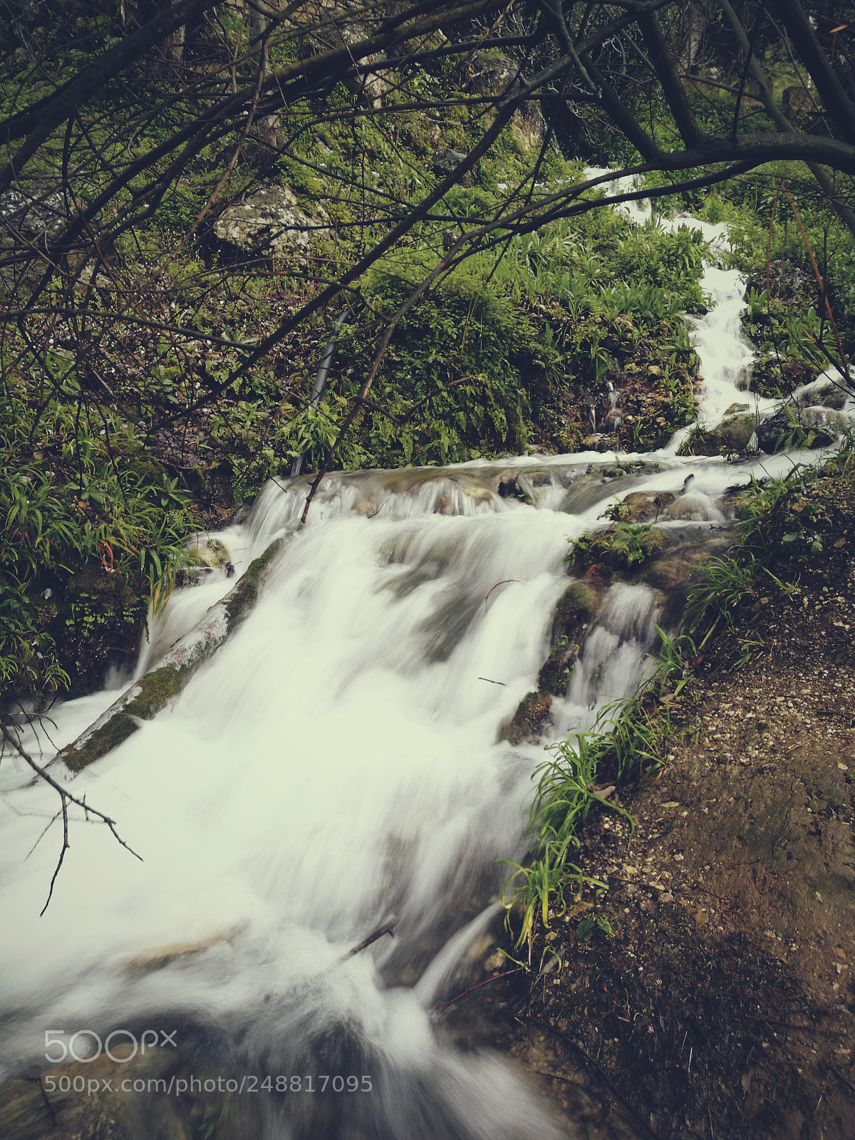 HUAWEI P9 sample photo. Untitled photography