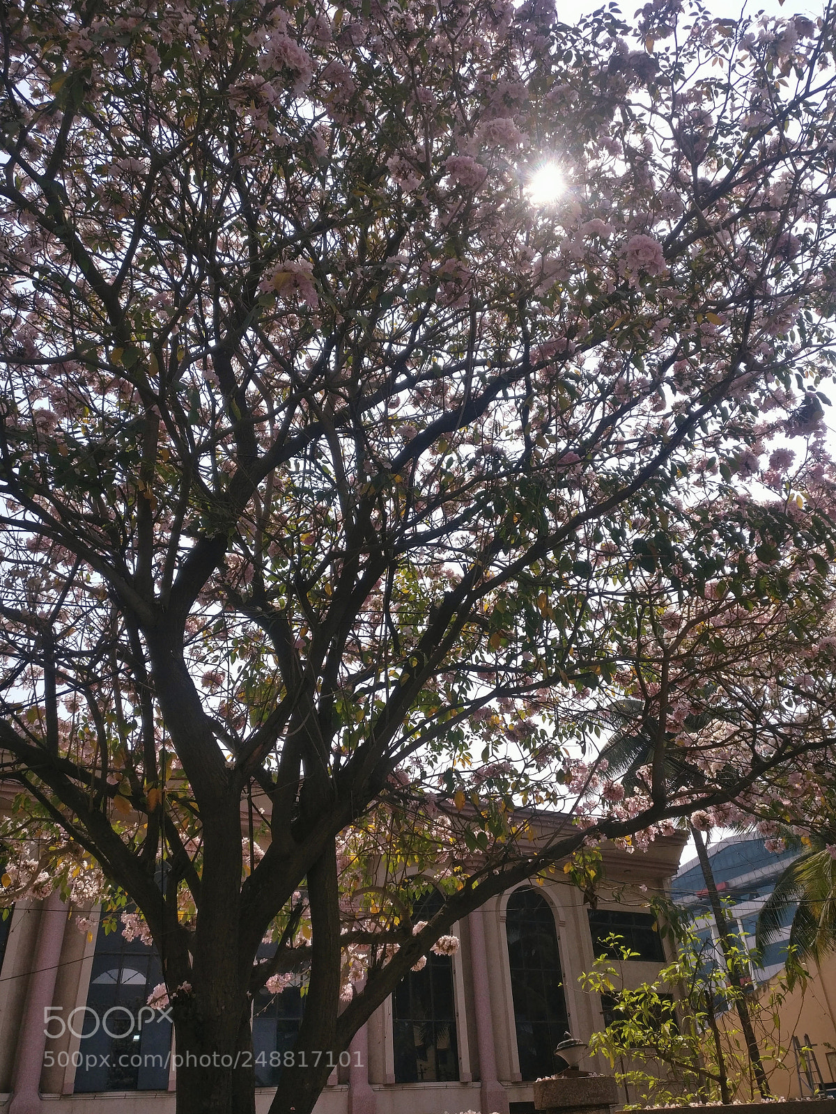 OnePlus A3003 sample photo. Autumn setting in... photography
