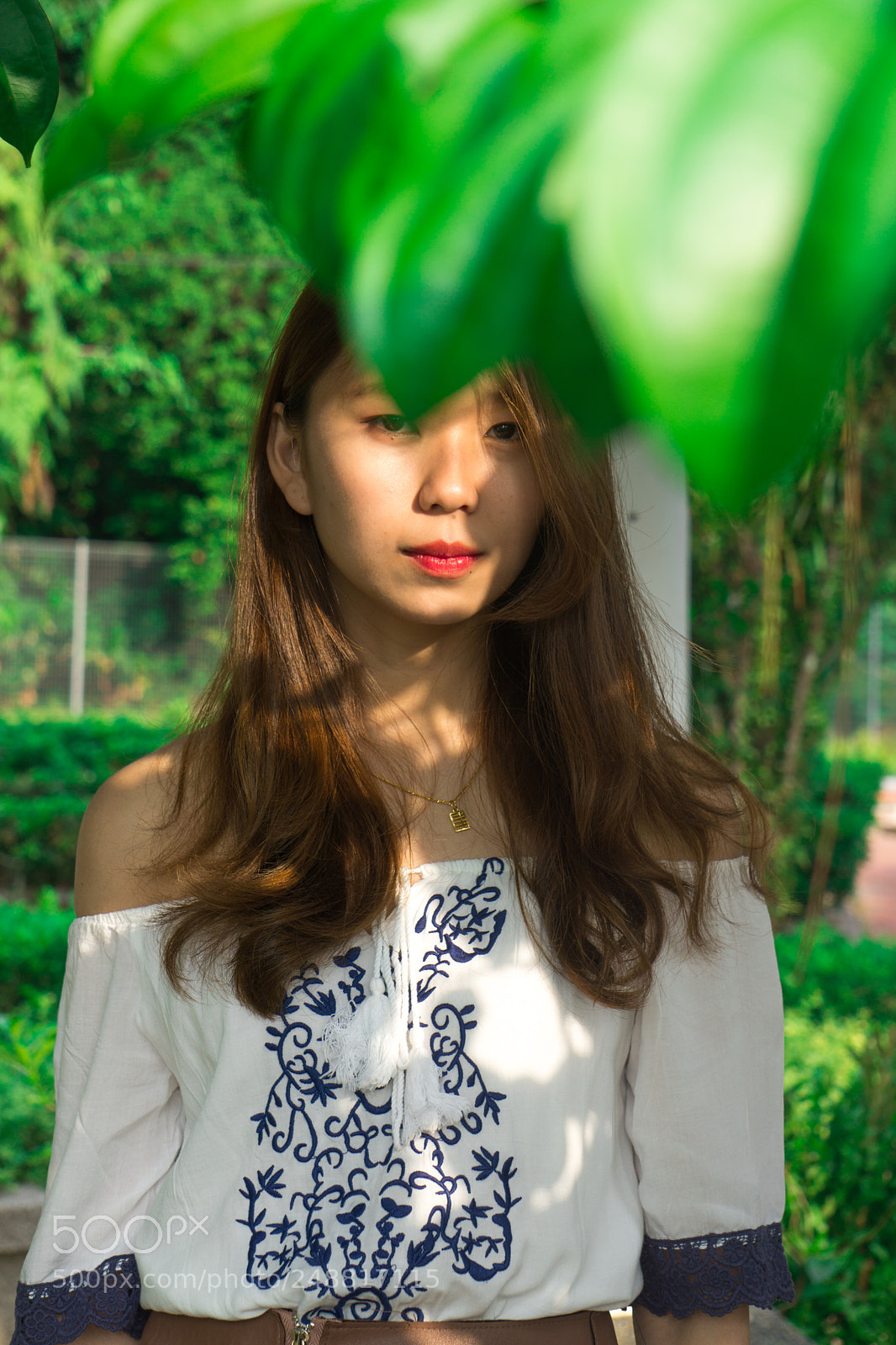 Sony a6000 sample photo. Dsc photography
