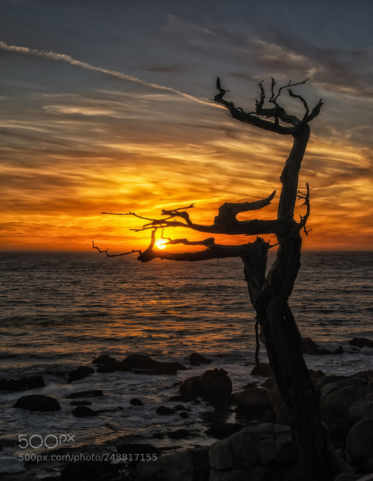 Nikon D800 sample photo. Untitled photography
