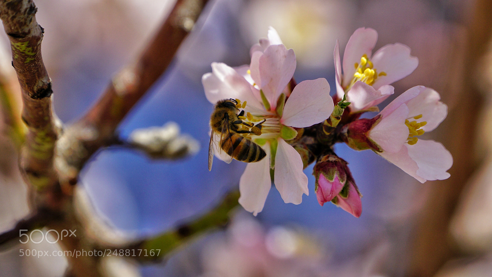 Sony a6000 sample photo. Untitled photography