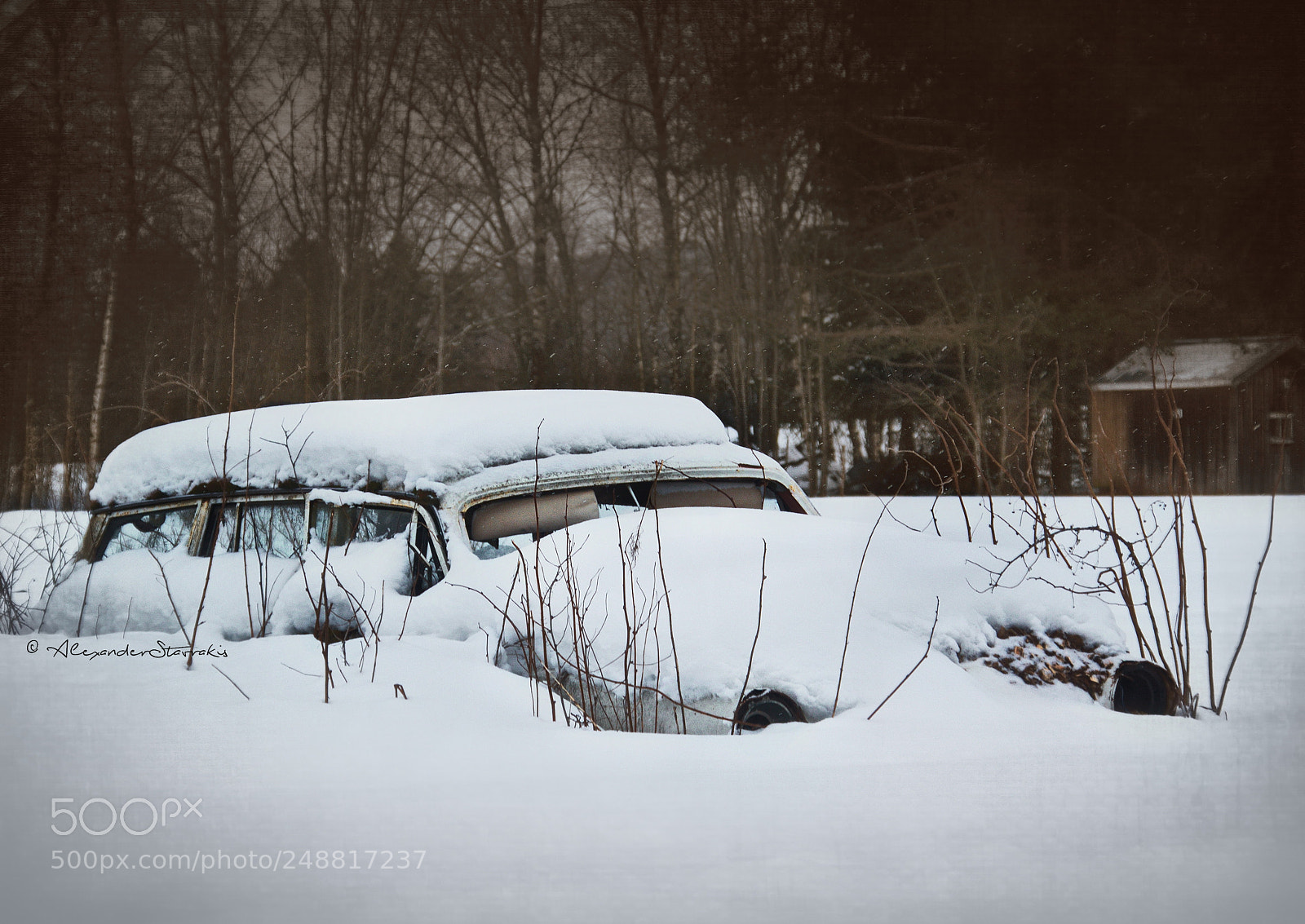 Nikon D3100 sample photo. Snowcovered memories photography