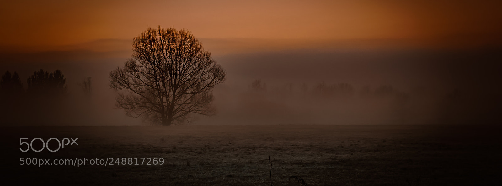 Sony a7 sample photo. The one! photography