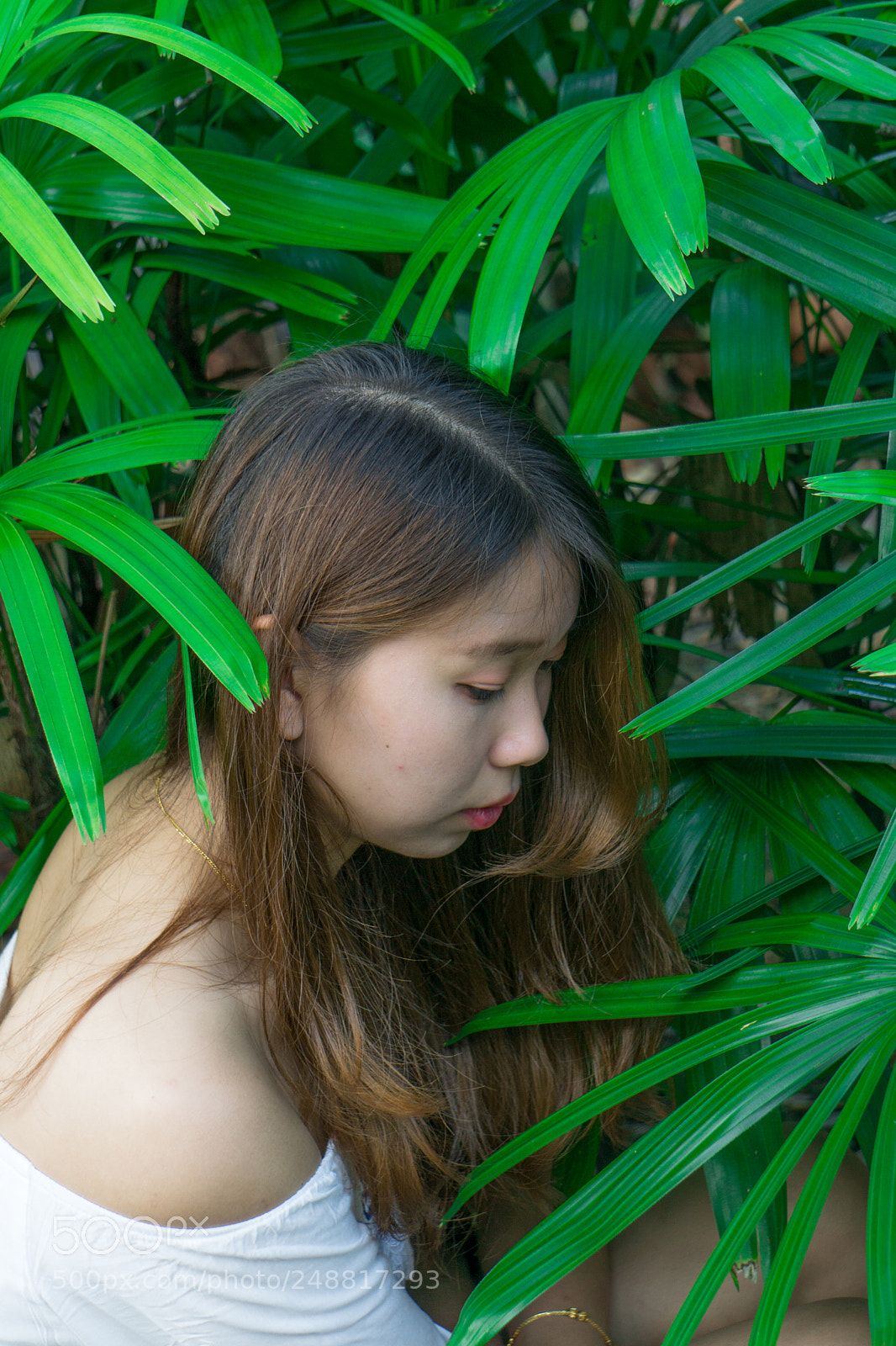 Sony a6000 sample photo. Dsc photography