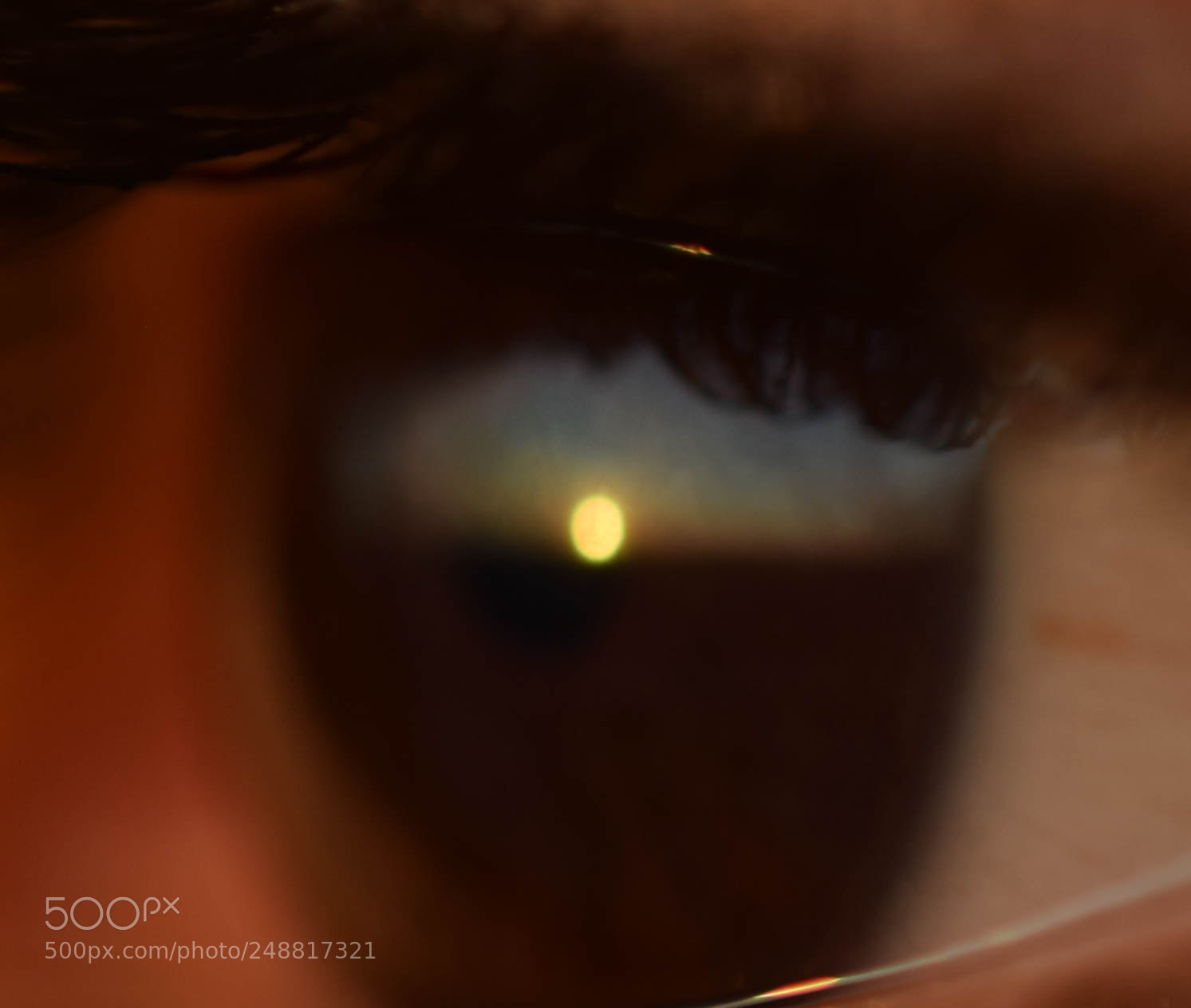 Nikon D5300 sample photo. Dia de vsita maravilha photography