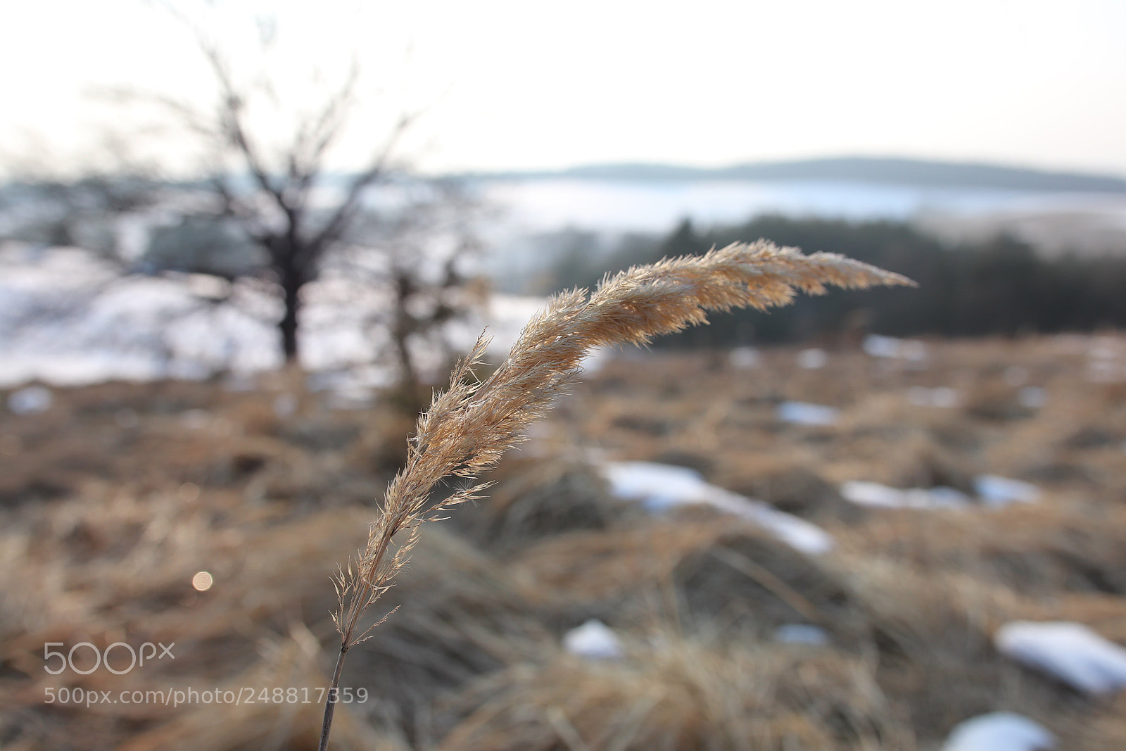 Canon EOS 77D (EOS 9000D / EOS 770D) sample photo. Untitled photography