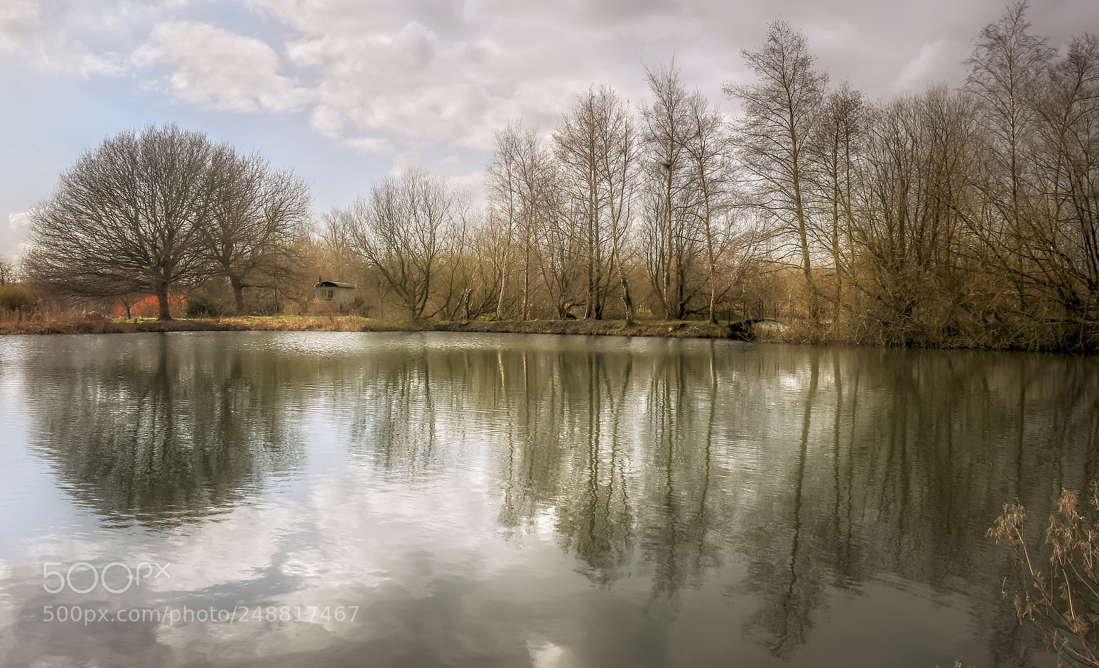 Nikon D500 sample photo. Cabin on the lake photography