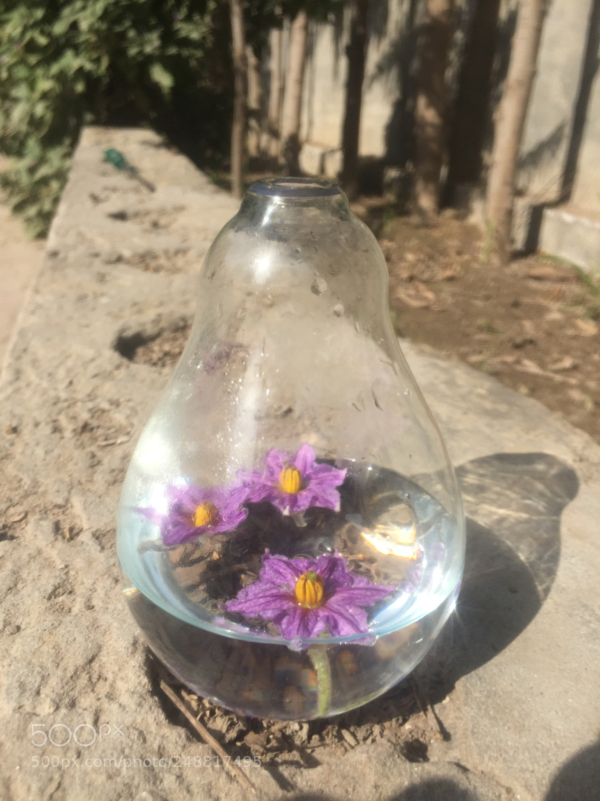 Apple iPhone 6 sample photo. I don t know photography