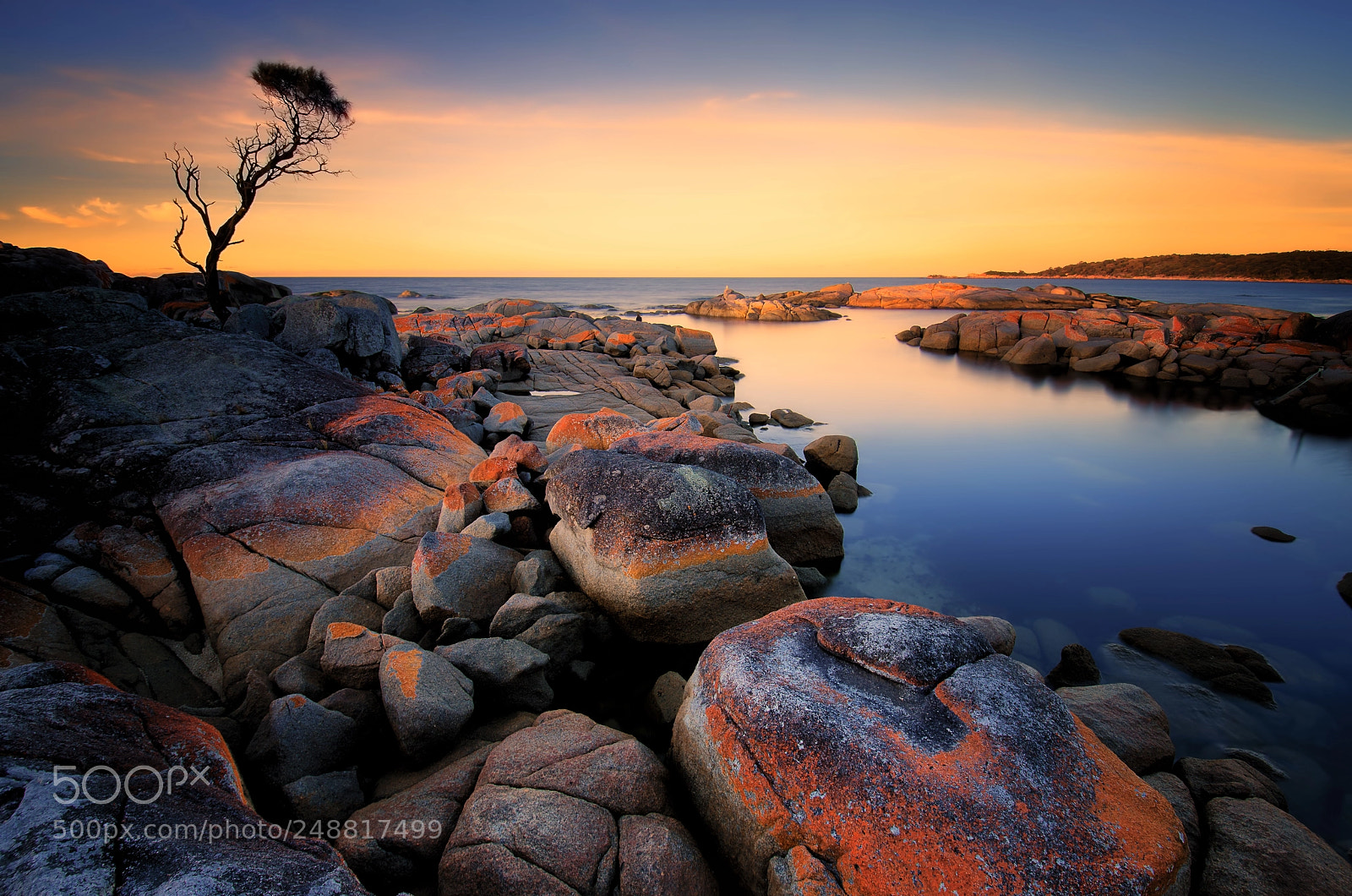 Nikon D7000 sample photo. Bay of fires, tasmania photography