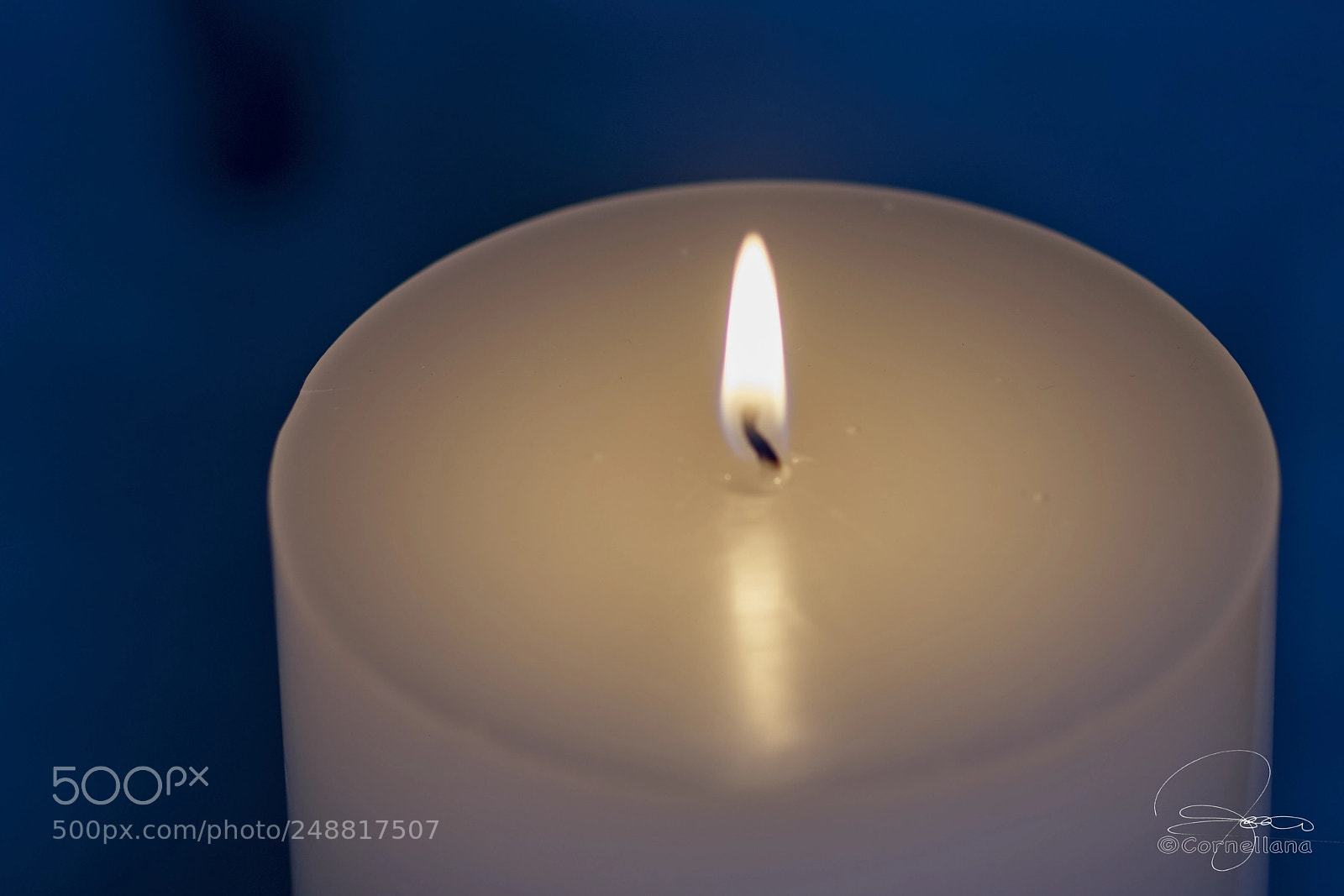 Sony a7R III sample photo. White photography