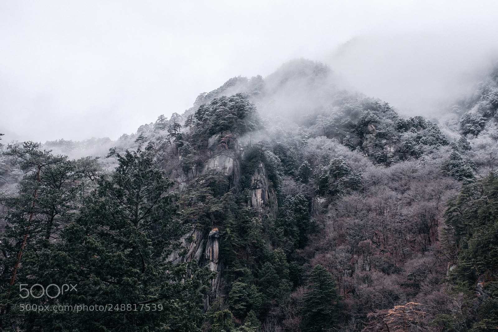 Fujifilm X-T2 sample photo. 昇仙峡 photography