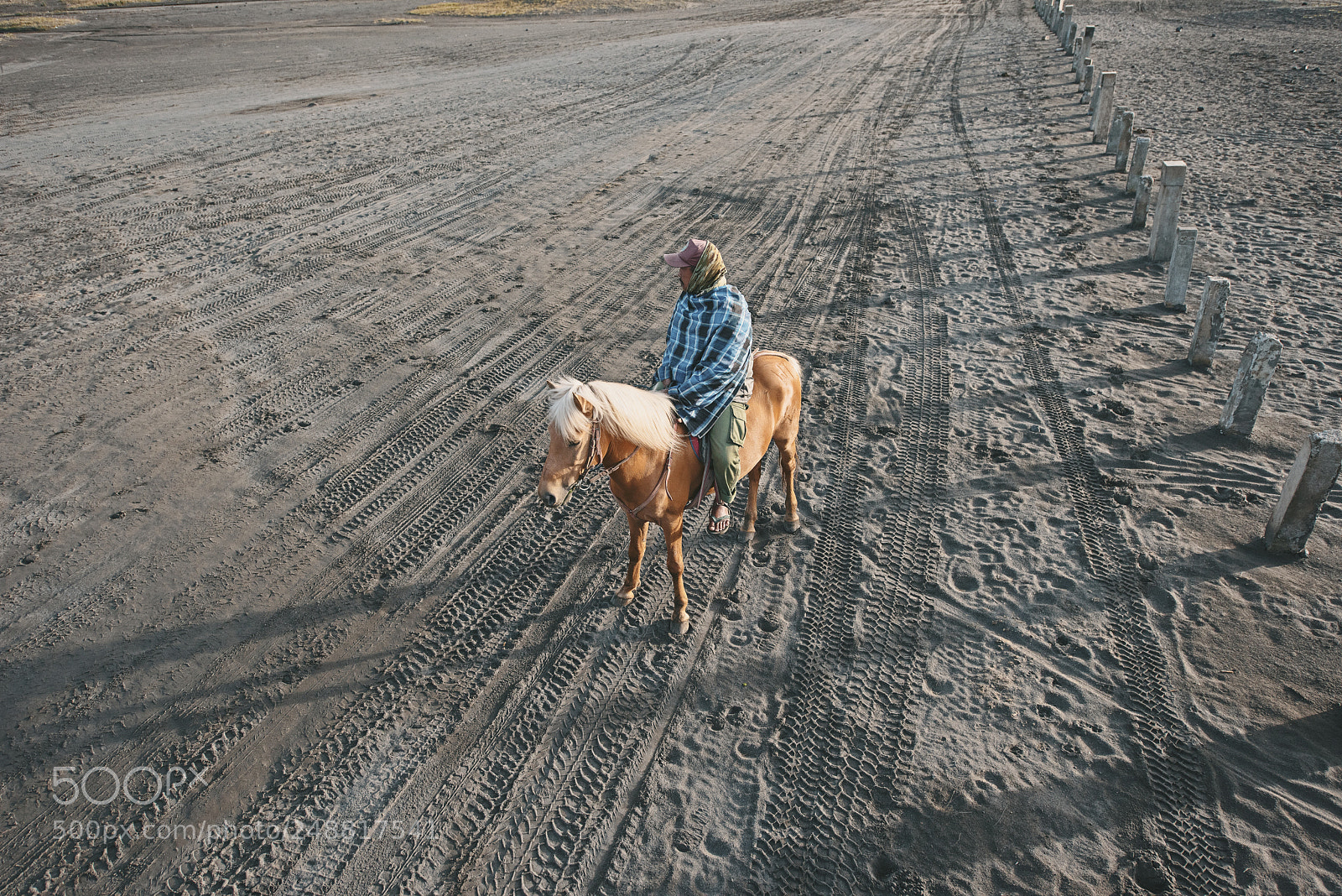 Nikon D810 sample photo. Bromo photography