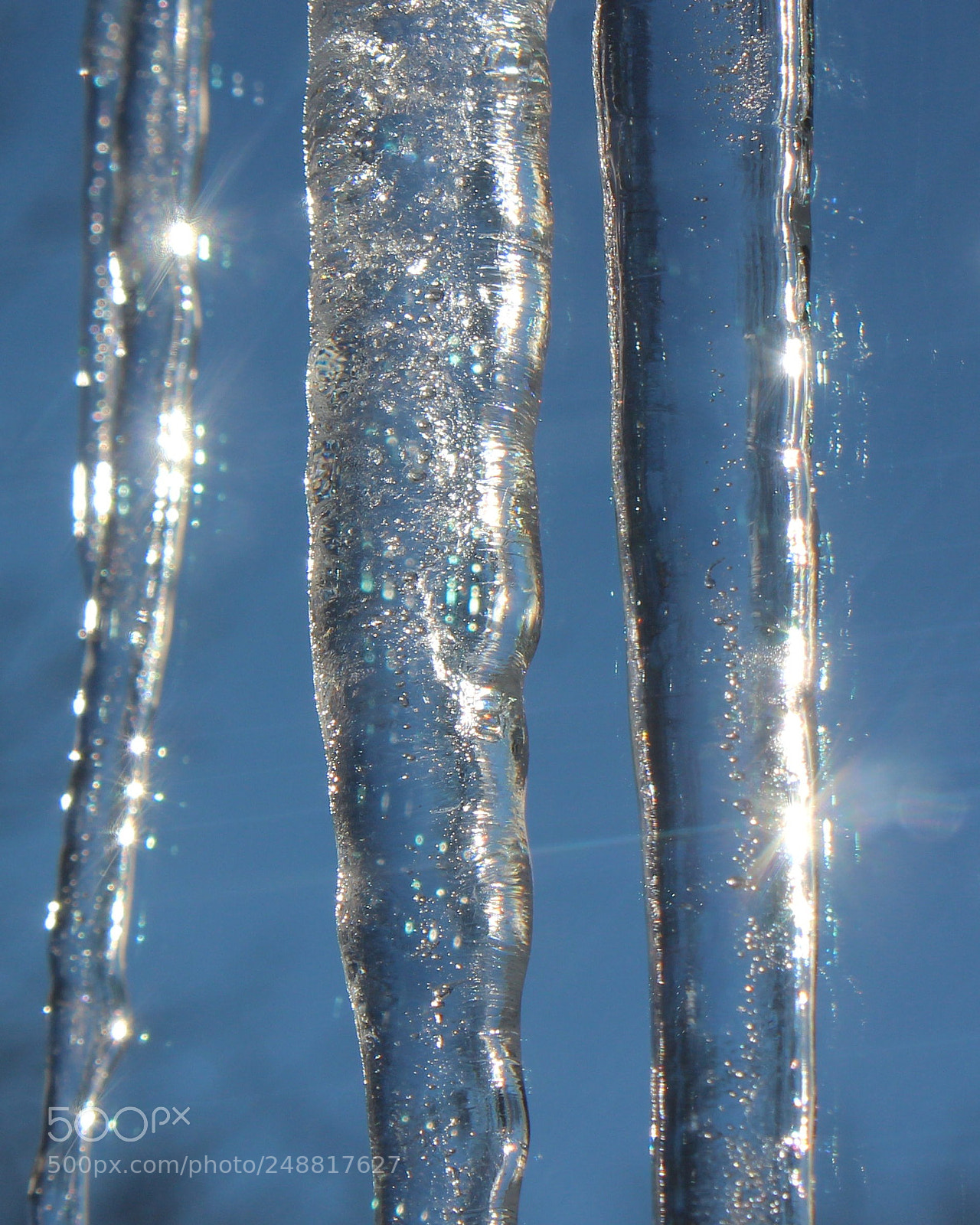 Canon EOS 1200D (EOS Rebel T5 / EOS Kiss X70 / EOS Hi) sample photo. Cold outside photography