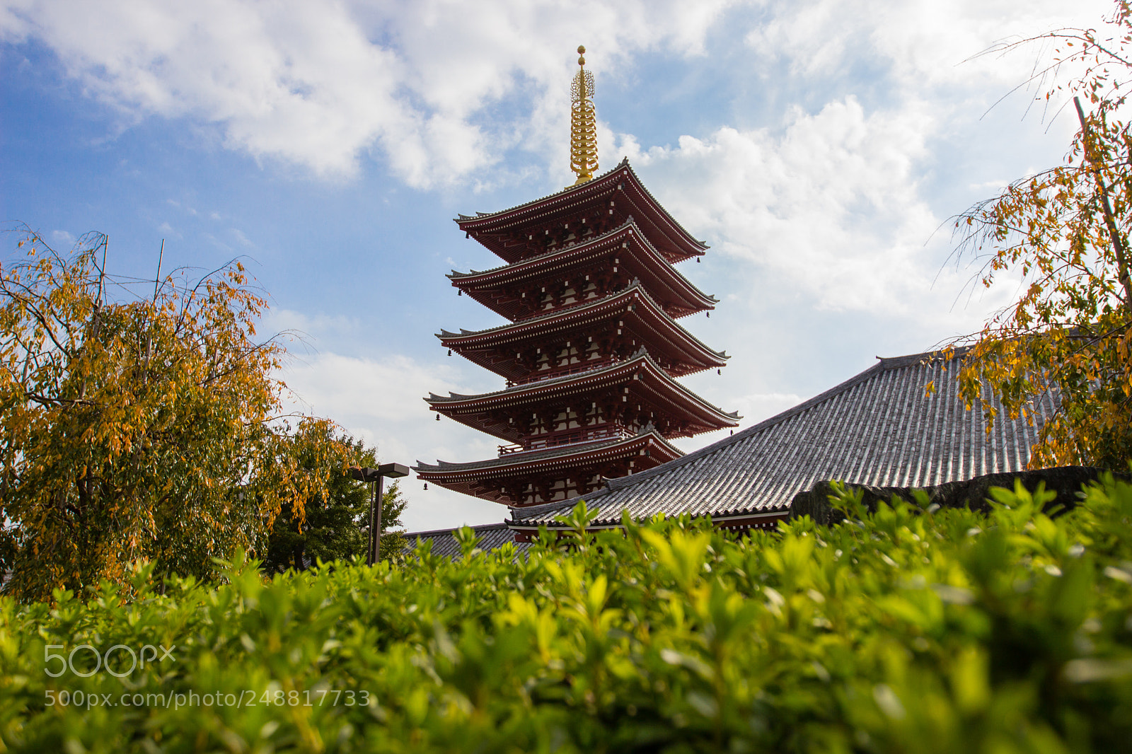 Canon EOS 600D (Rebel EOS T3i / EOS Kiss X5) sample photo. 5 story pagoda photography
