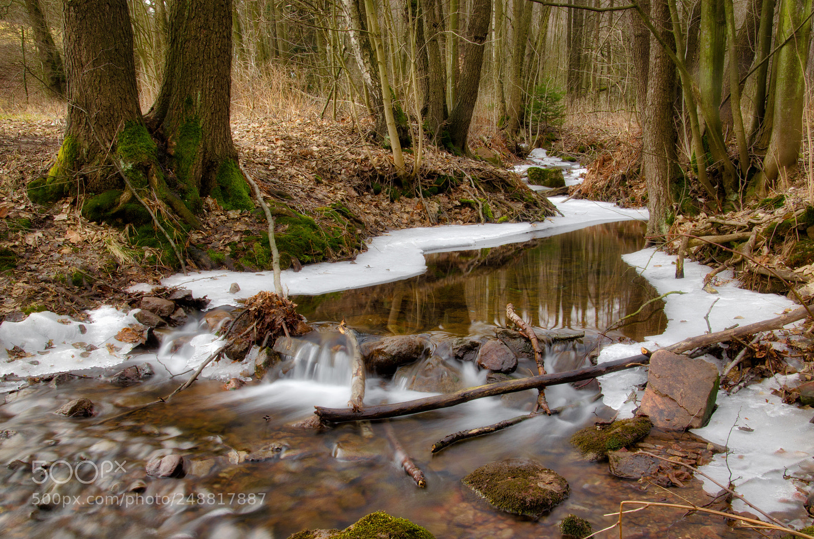 Nikon D5100 sample photo. Vom eise photography