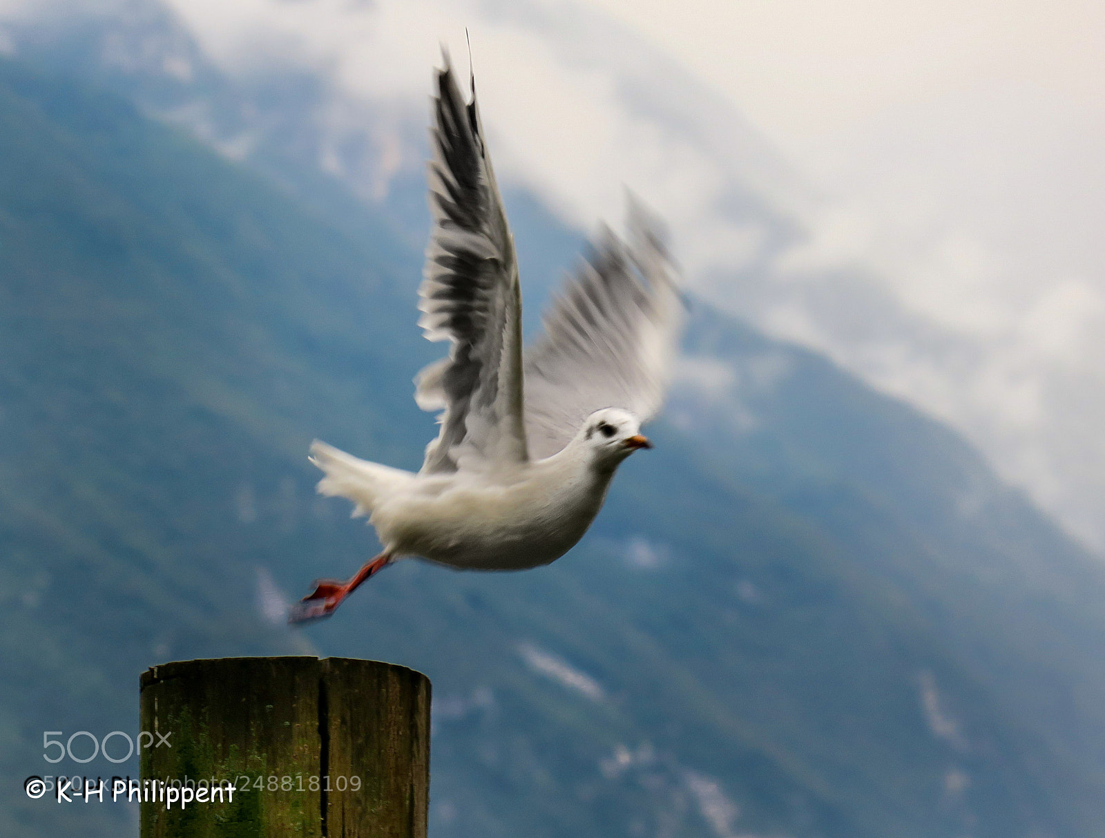 Canon PowerShot G3 X sample photo. Riva del garda italy photography