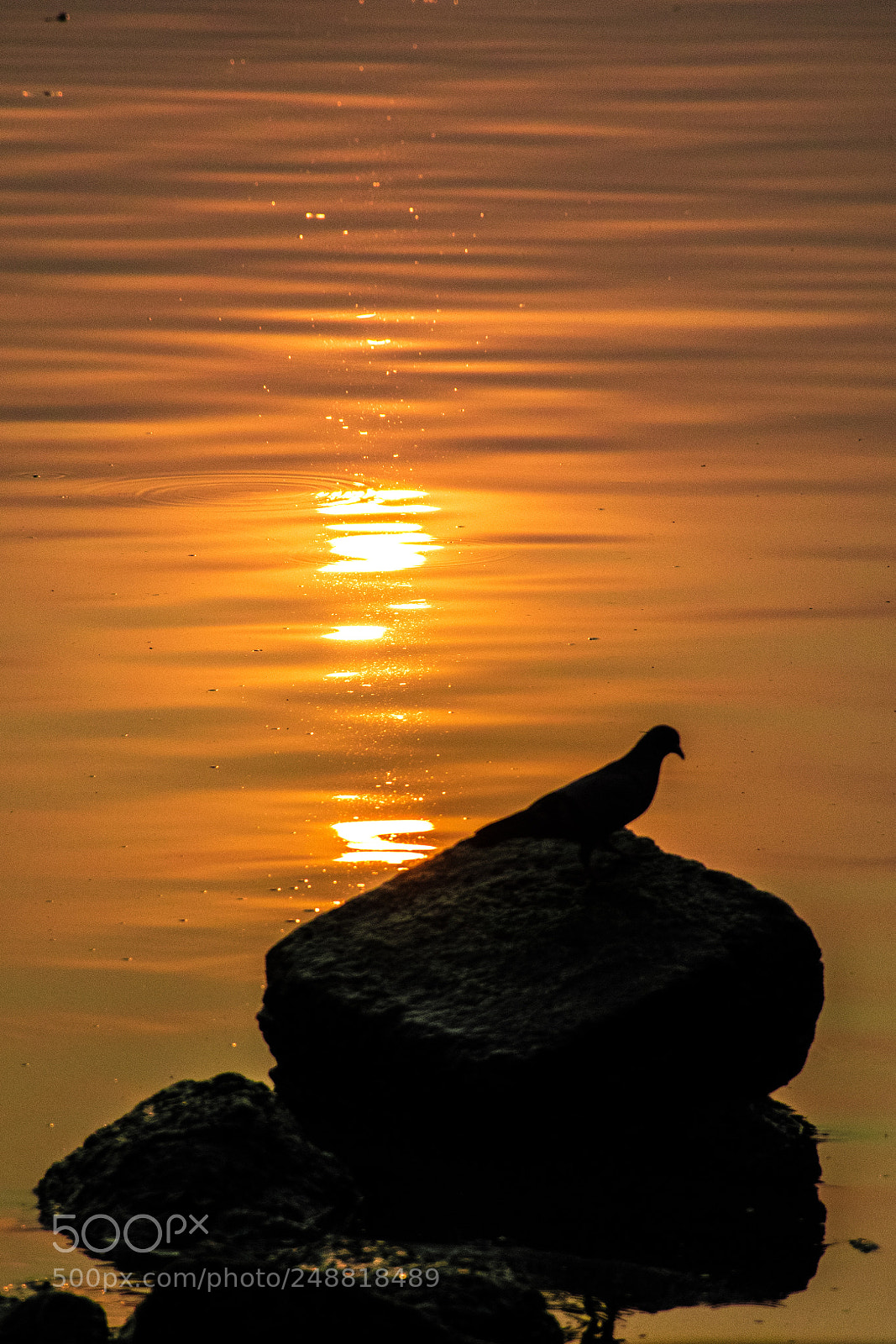 Nikon D5300 sample photo. As if the rock photography
