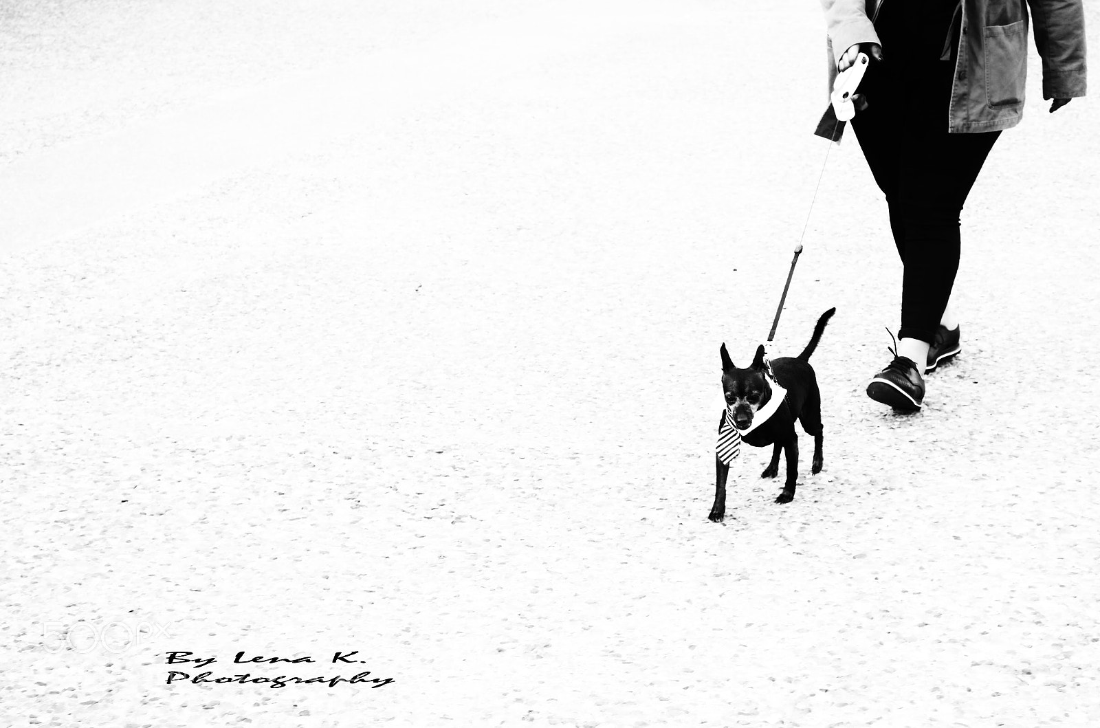 Nikon D5100 sample photo. Together. photography