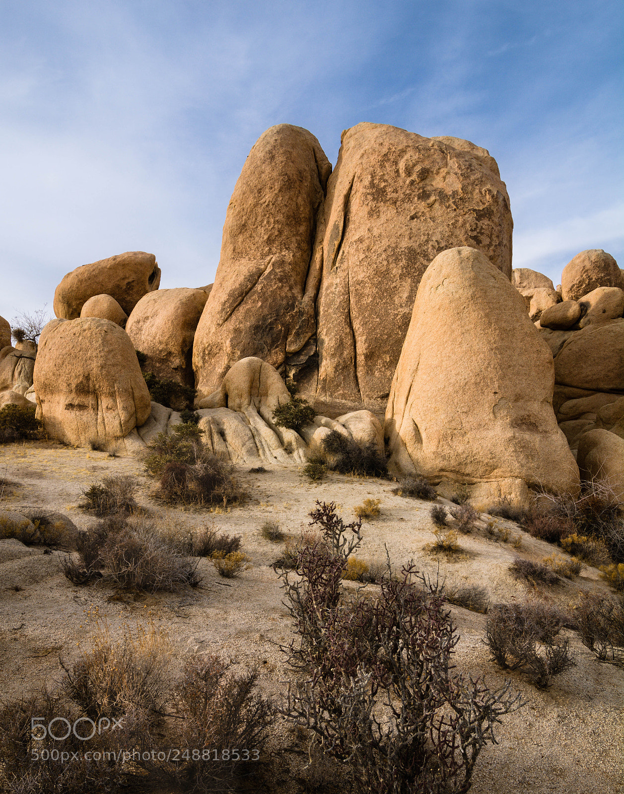 Nikon D7100 sample photo. Desert day tripping photography