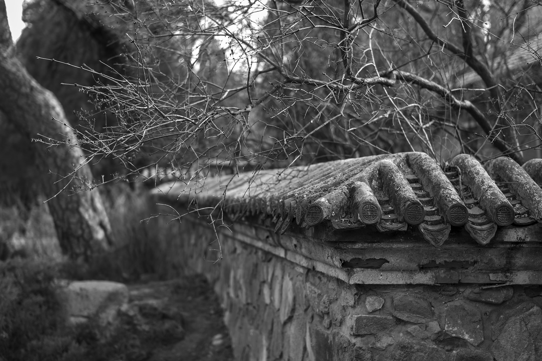 Leica M-Monochrom sample photo. 无题 photography