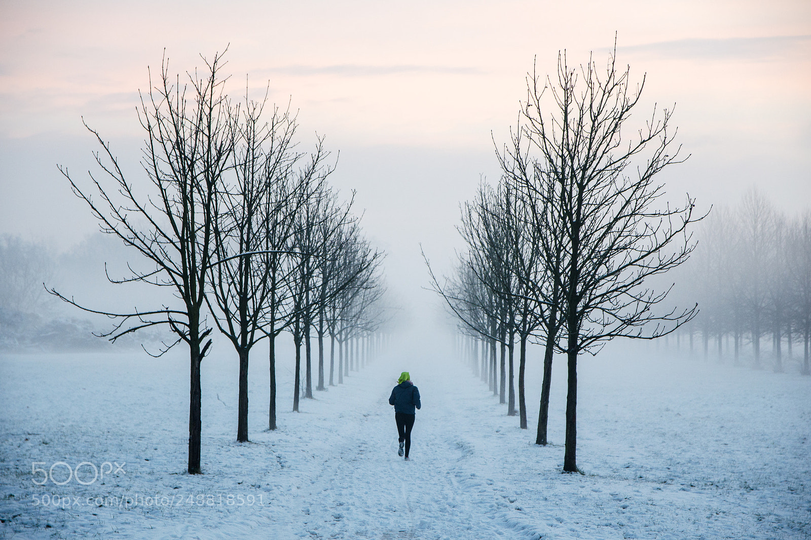 Nikon D5100 sample photo. Run and snow photography