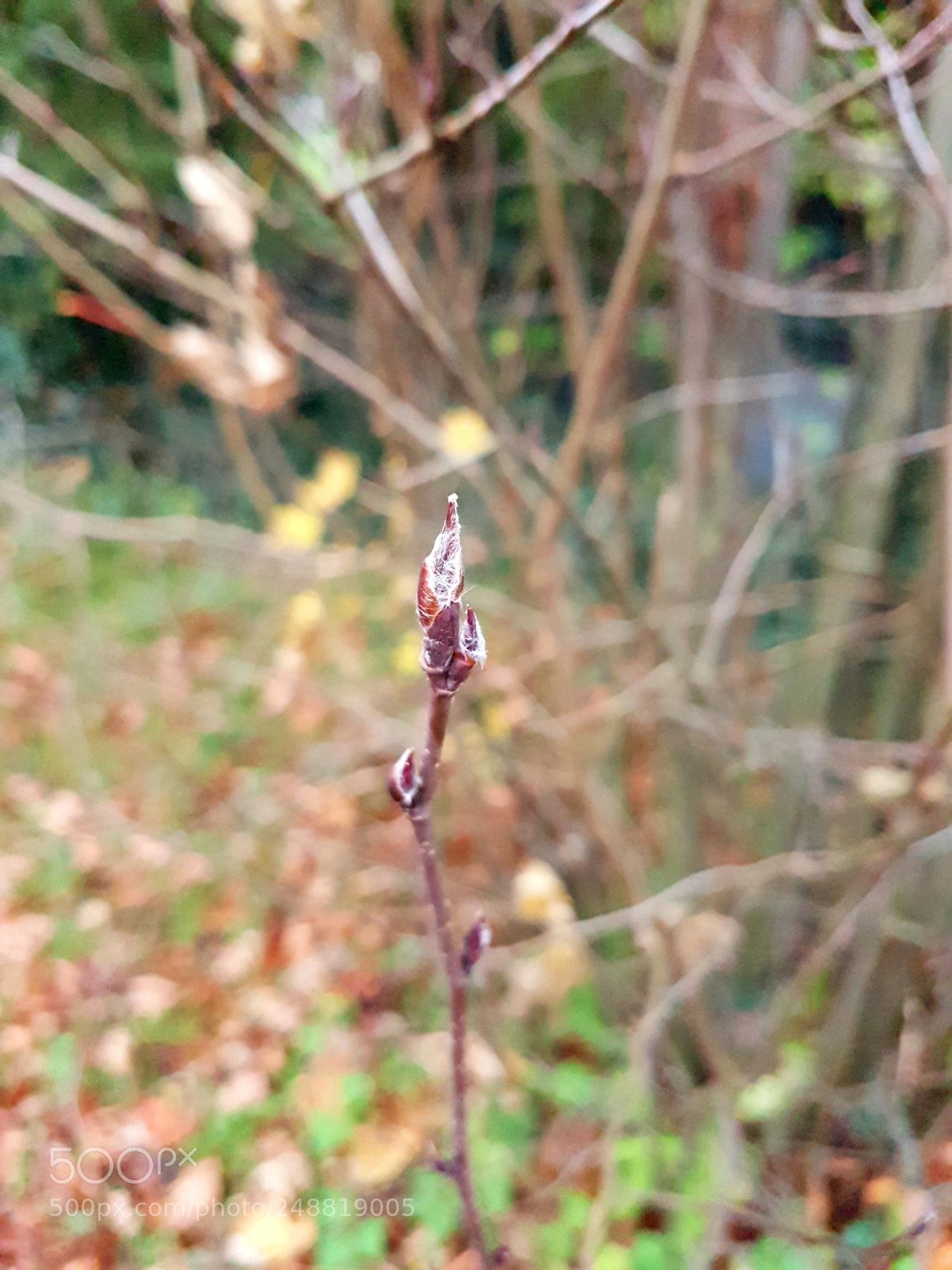 Samsung Galaxy S7 sample photo. Untitled photography