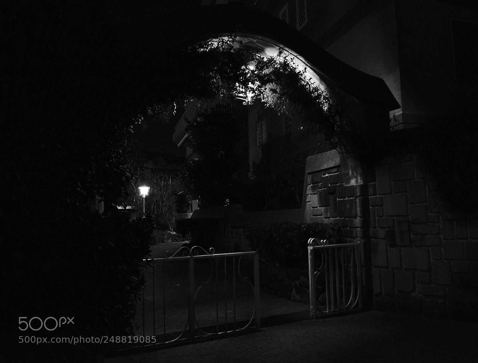 Nikon D3300 sample photo. Last night.... my aimless photography