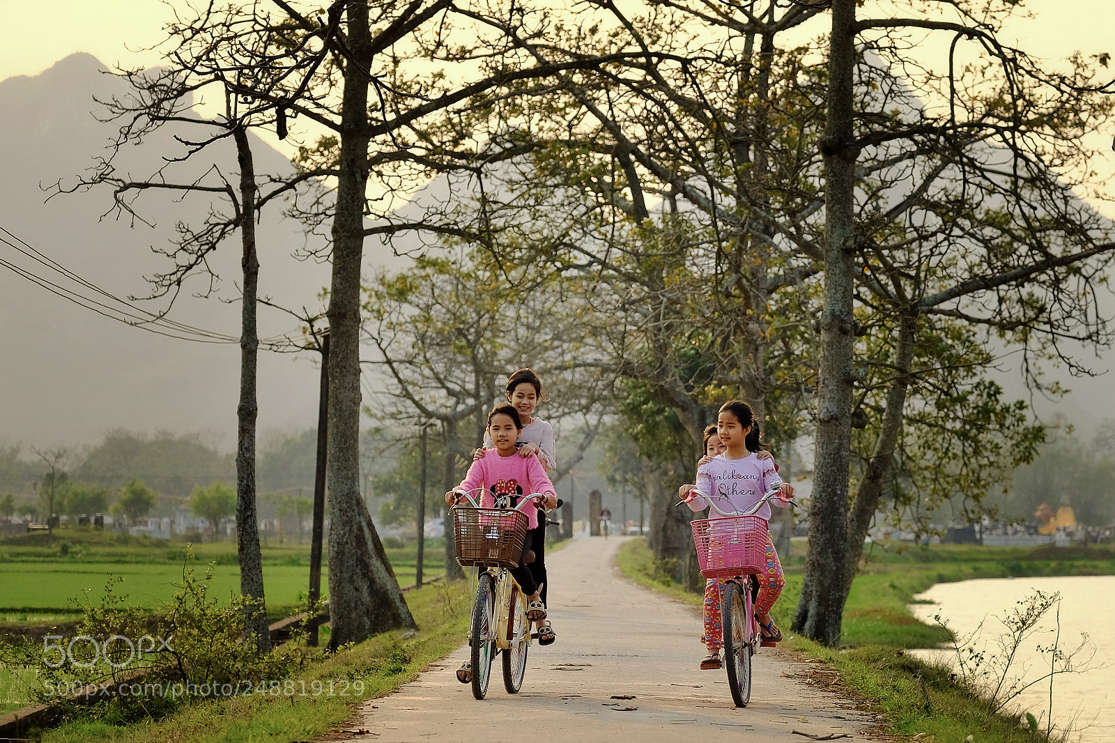 Fujifilm X-T20 sample photo. Untitled photography