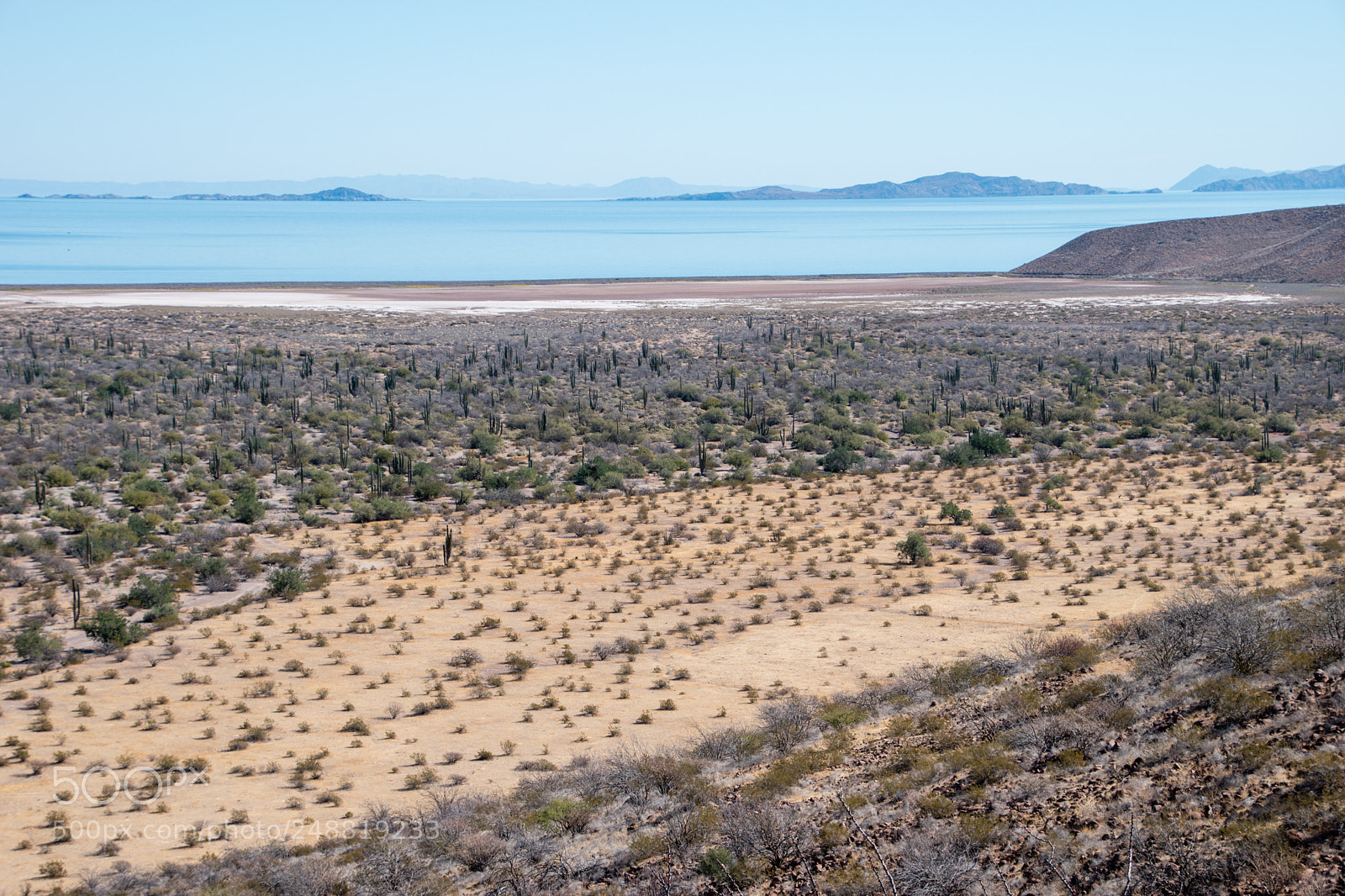 Nikon D5500 sample photo. Baja california photography