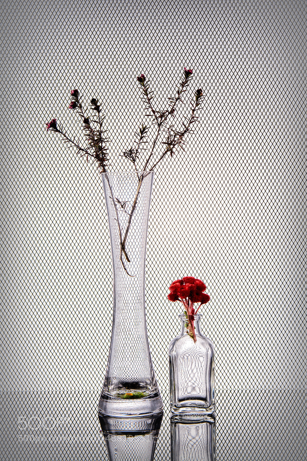 Nikon D7100 sample photo. Simplicity photography
