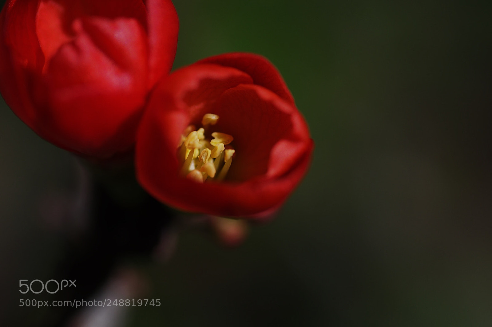 Pentax K-3 sample photo. Untitled photography