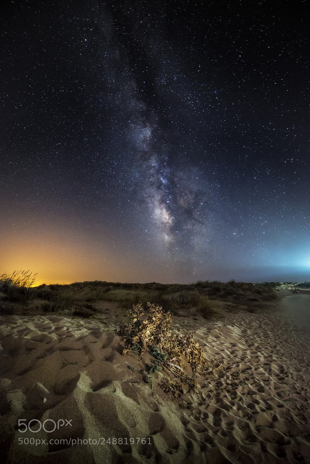 Nikon D800 sample photo. 2686. dune stars. photography