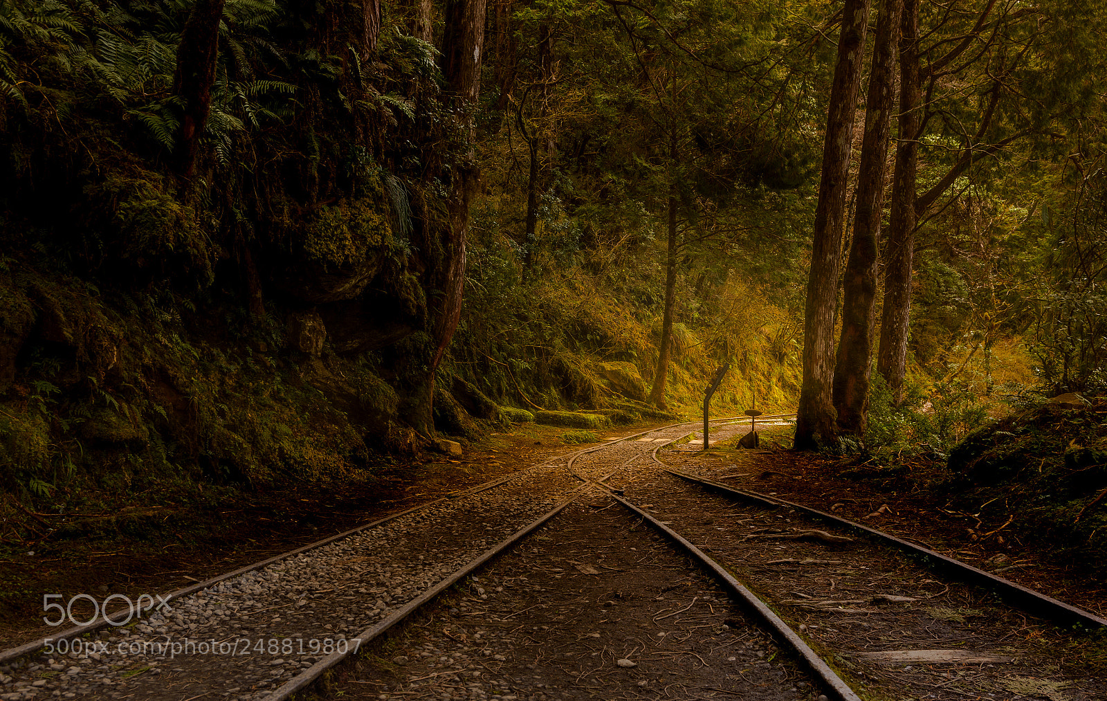 Nikon D5500 sample photo. Remains of railroad track photography