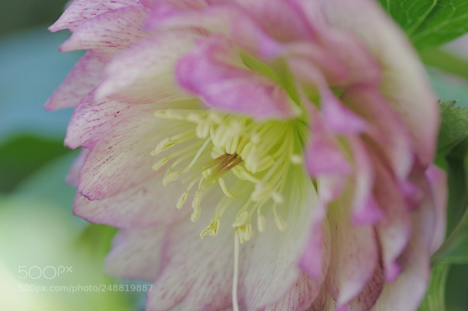 Pentax K-3 sample photo. Untitled photography